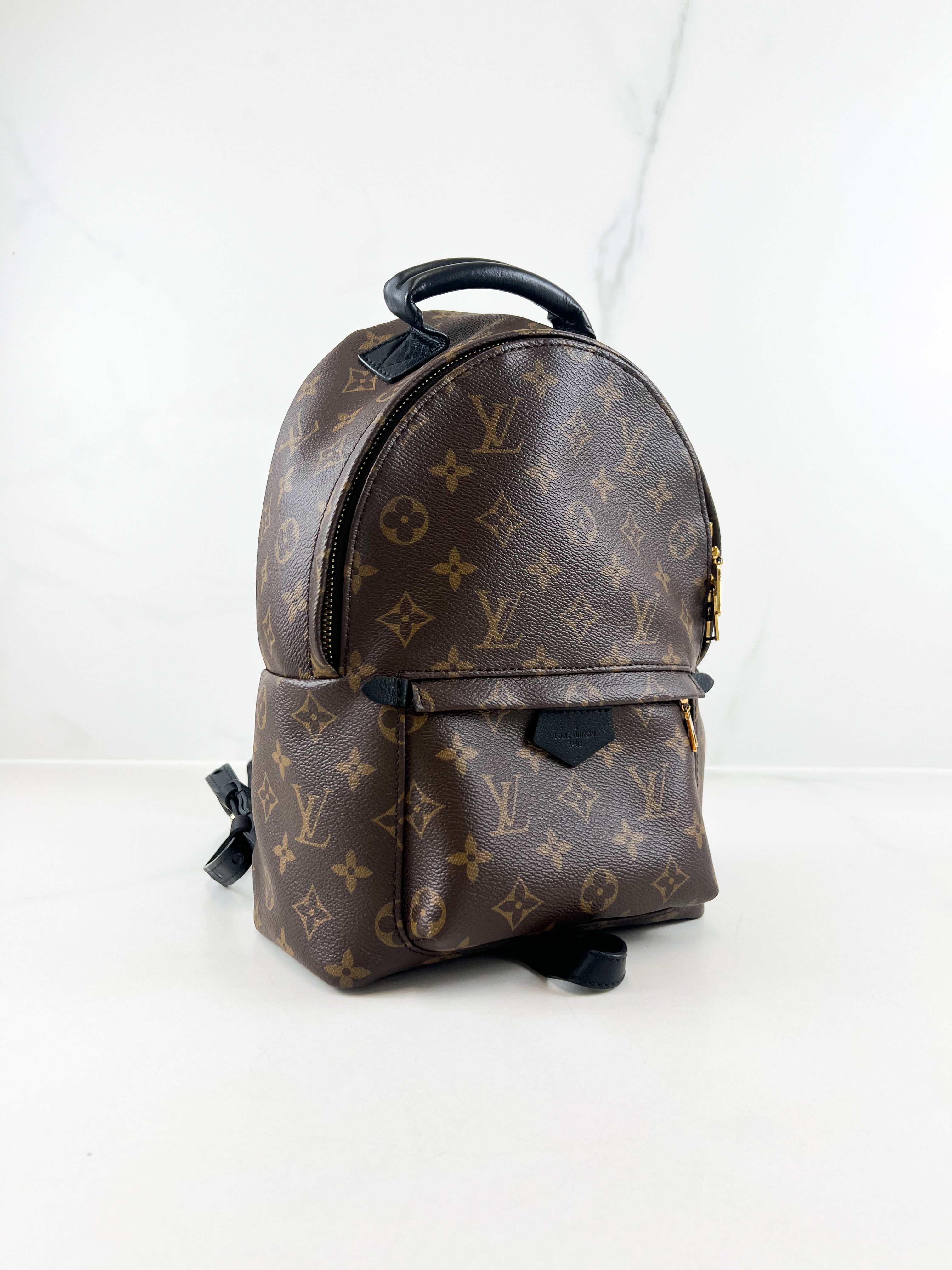 Louis Vuitton Palm Springs PM Monogram