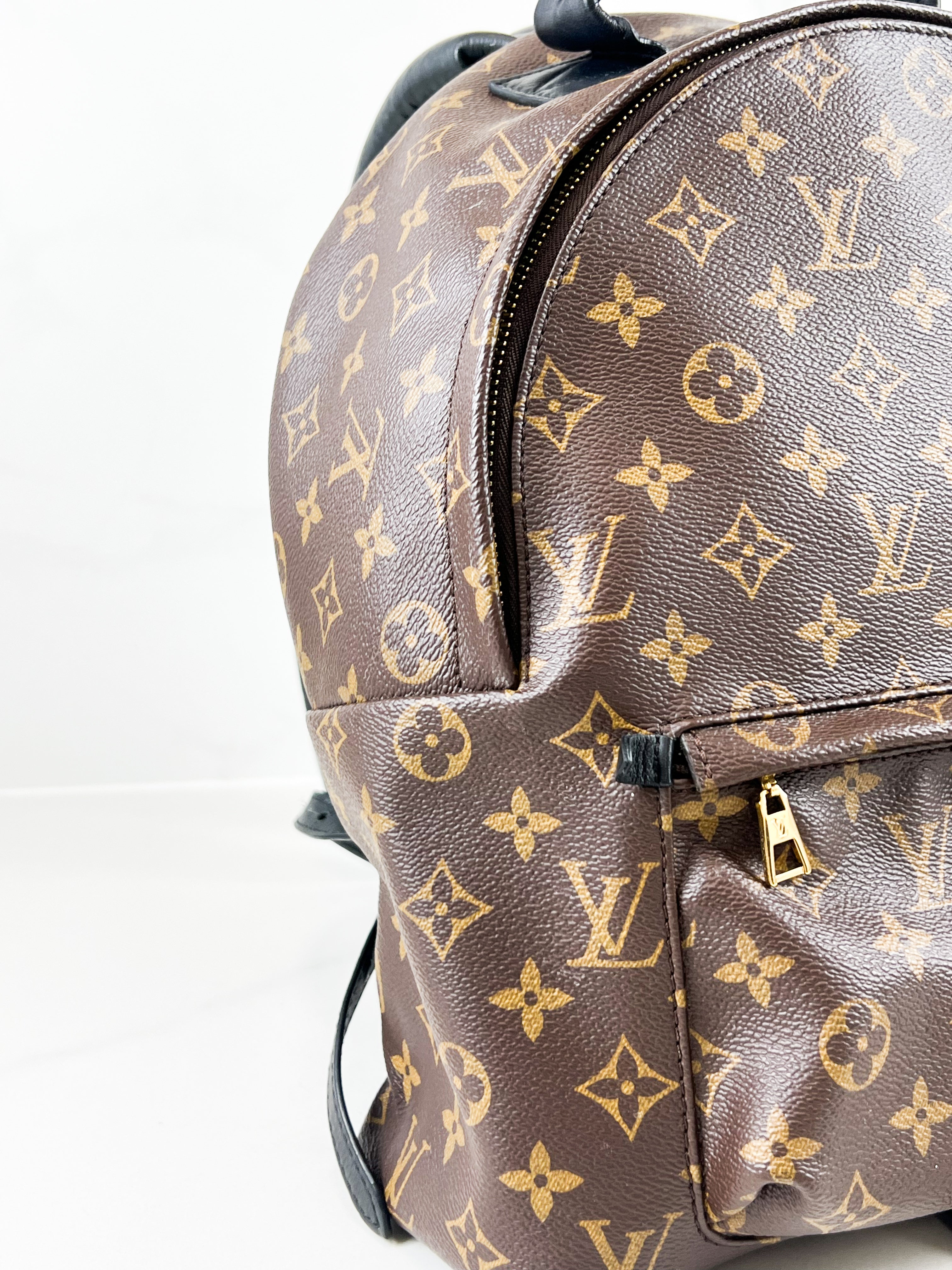 Louis Vuitton Palm Springs MM Monogram