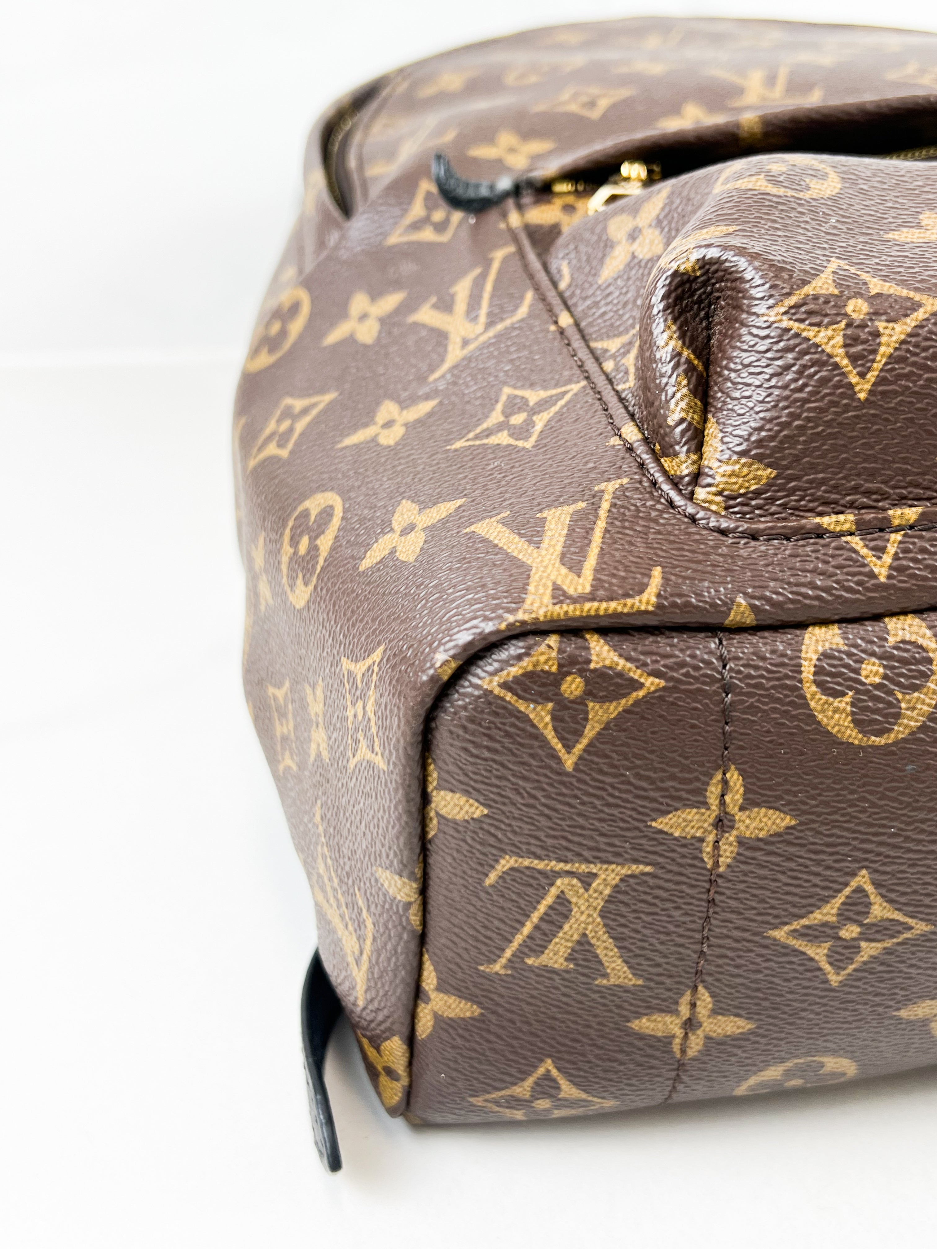 Louis Vuitton Palm Springs MM Monogram
