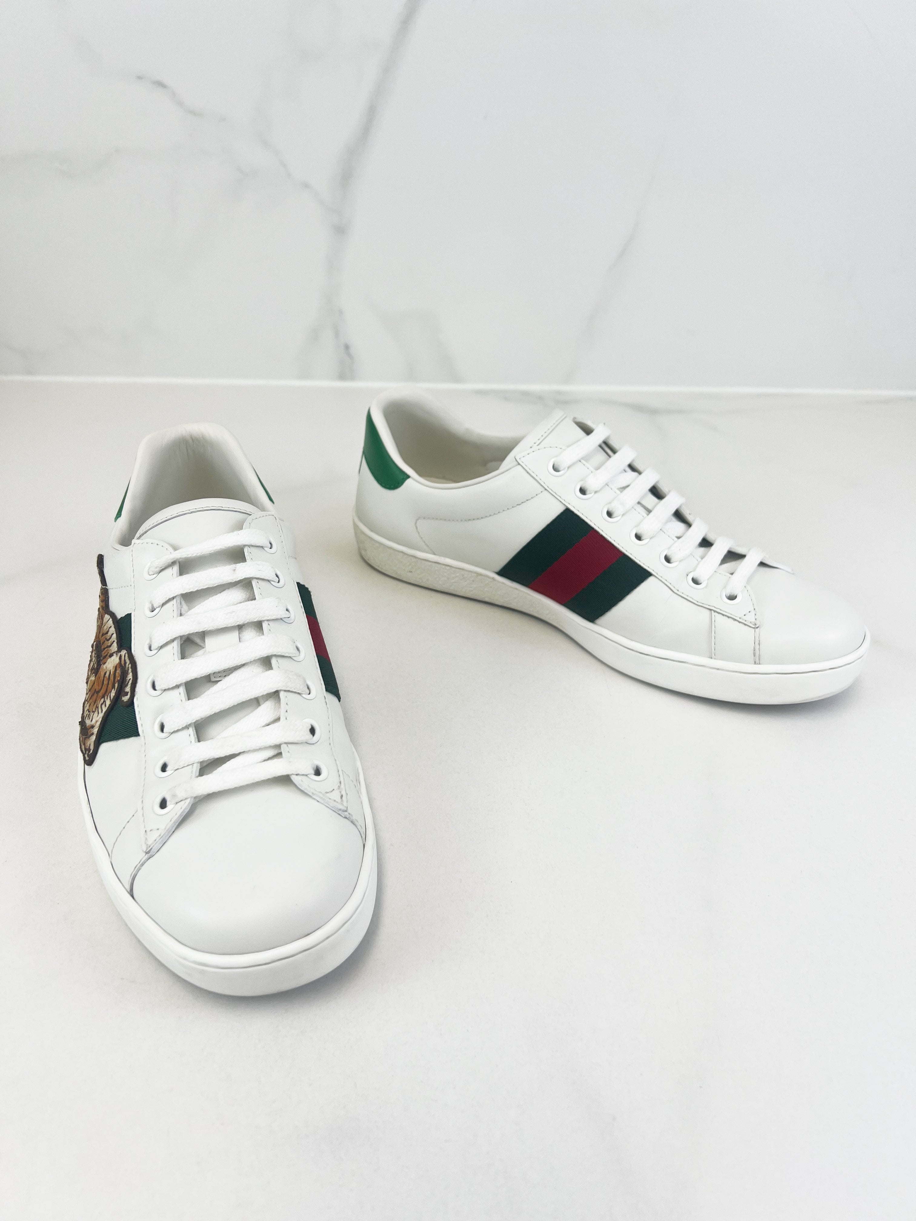 Gucci Men's Tiger Sneaker Size 7