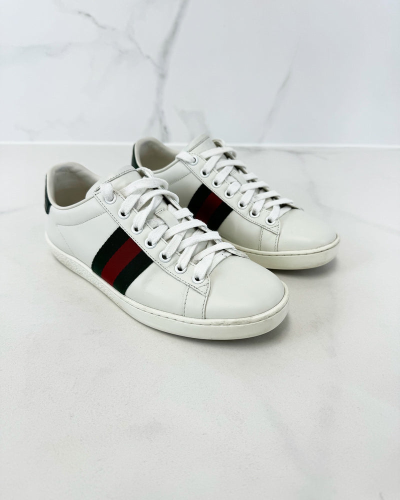 Gucci Ace Sneaker Size 36