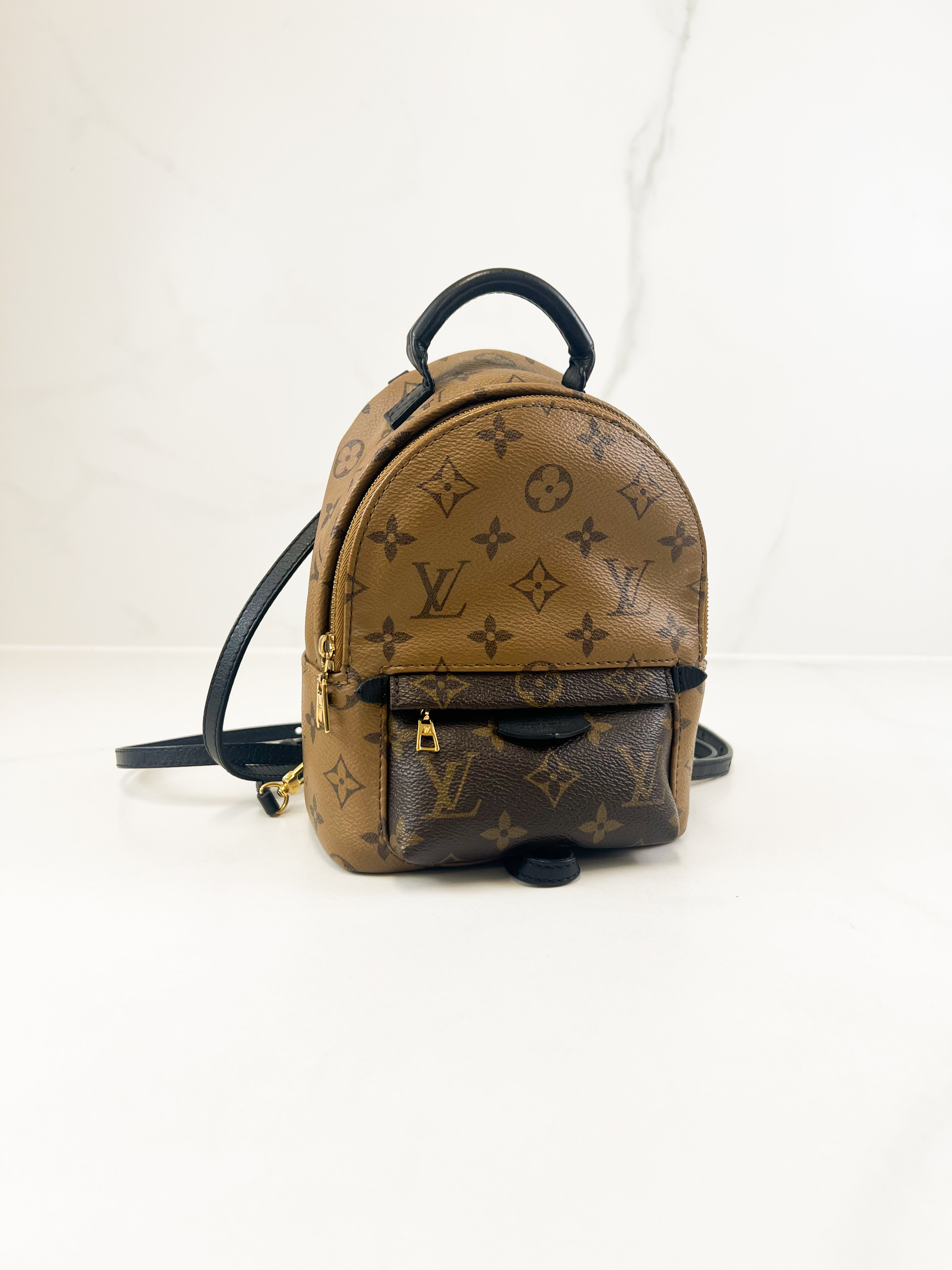 Louis Vuitton Reverse Palm Springs Mini Backpack