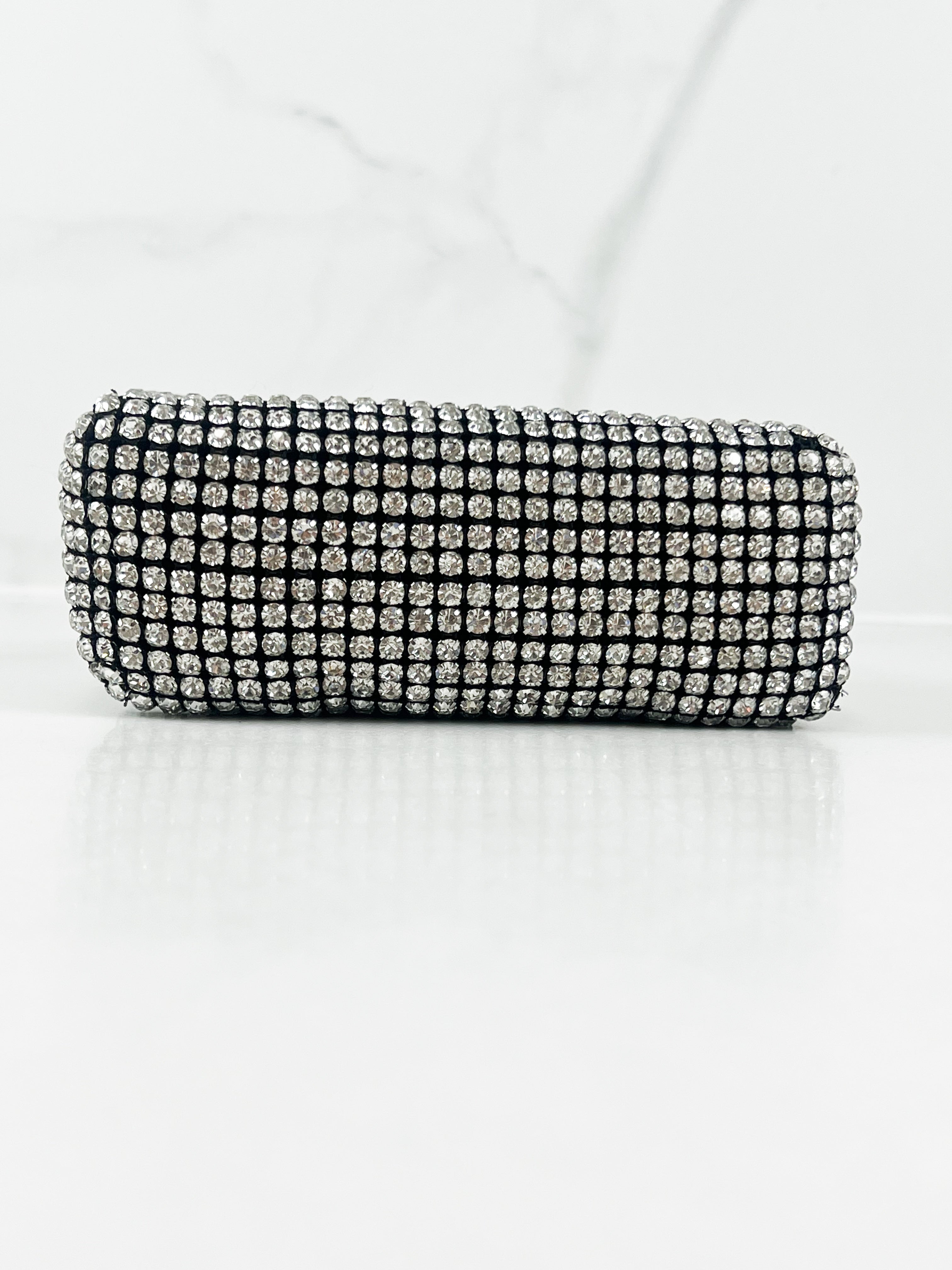 Alexander Wang Heiress Pouch