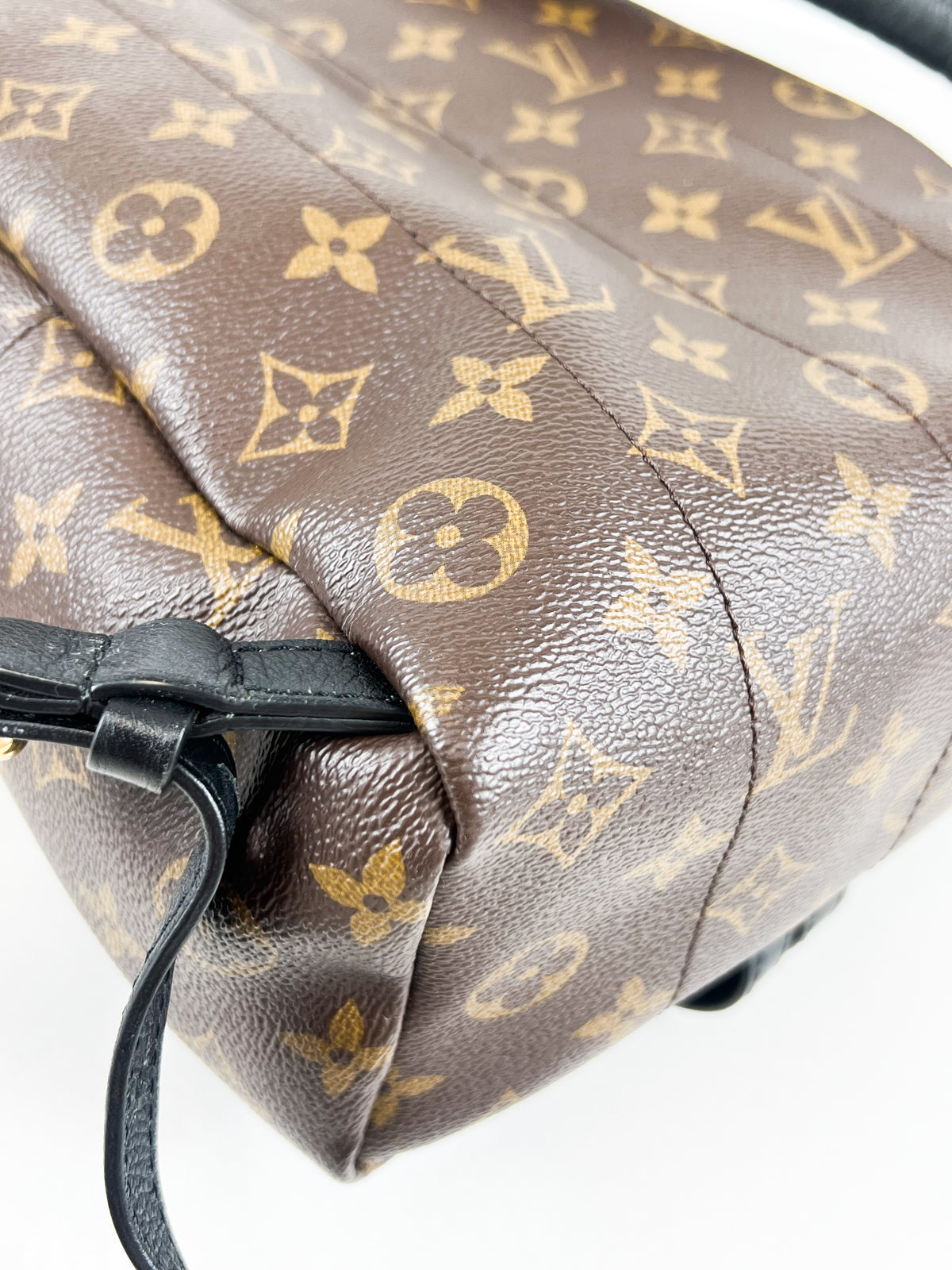 Louis Vuitton Palm Springs PM Monogram