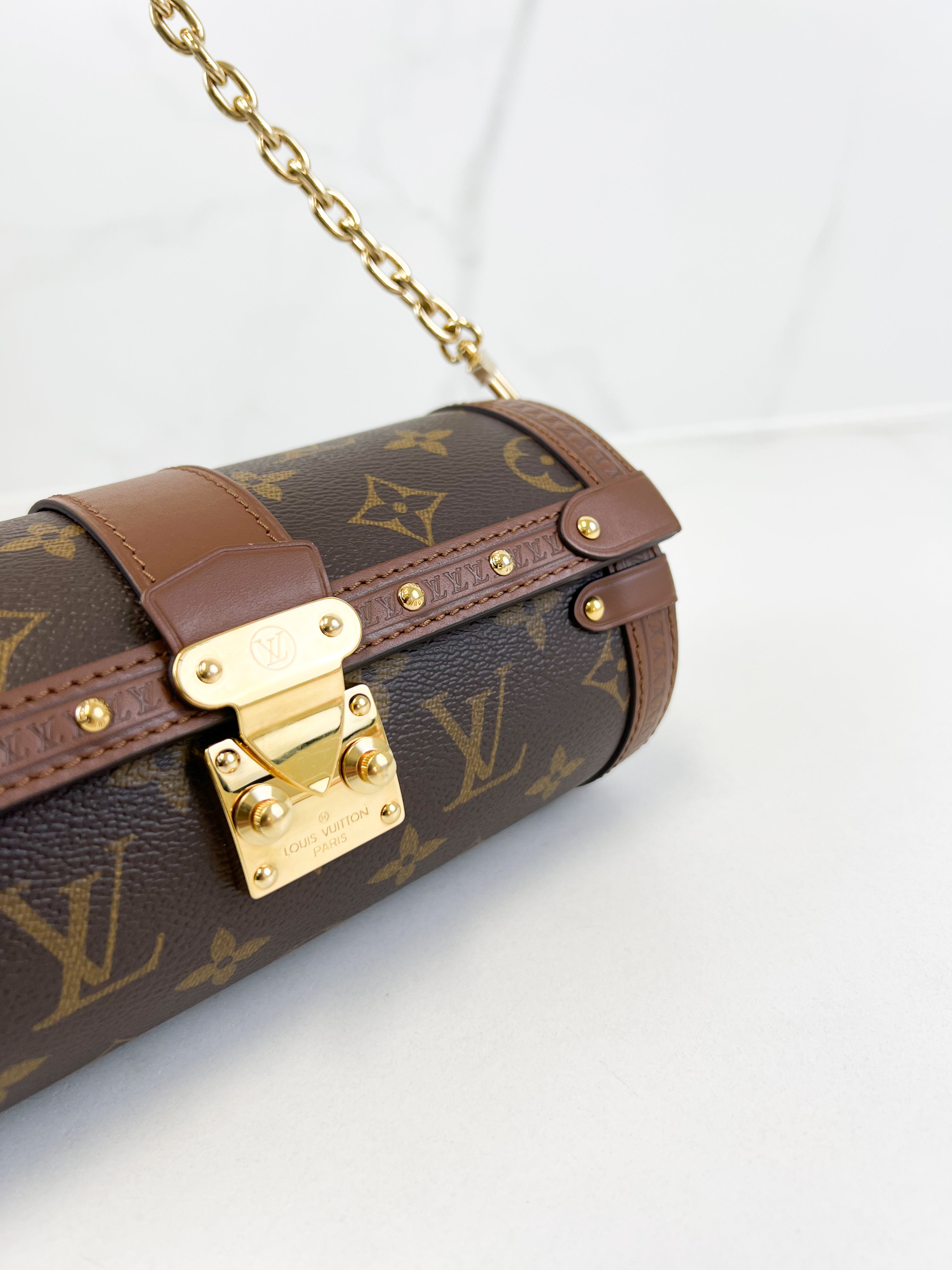 Louis Vuitton Papillon Trunk
