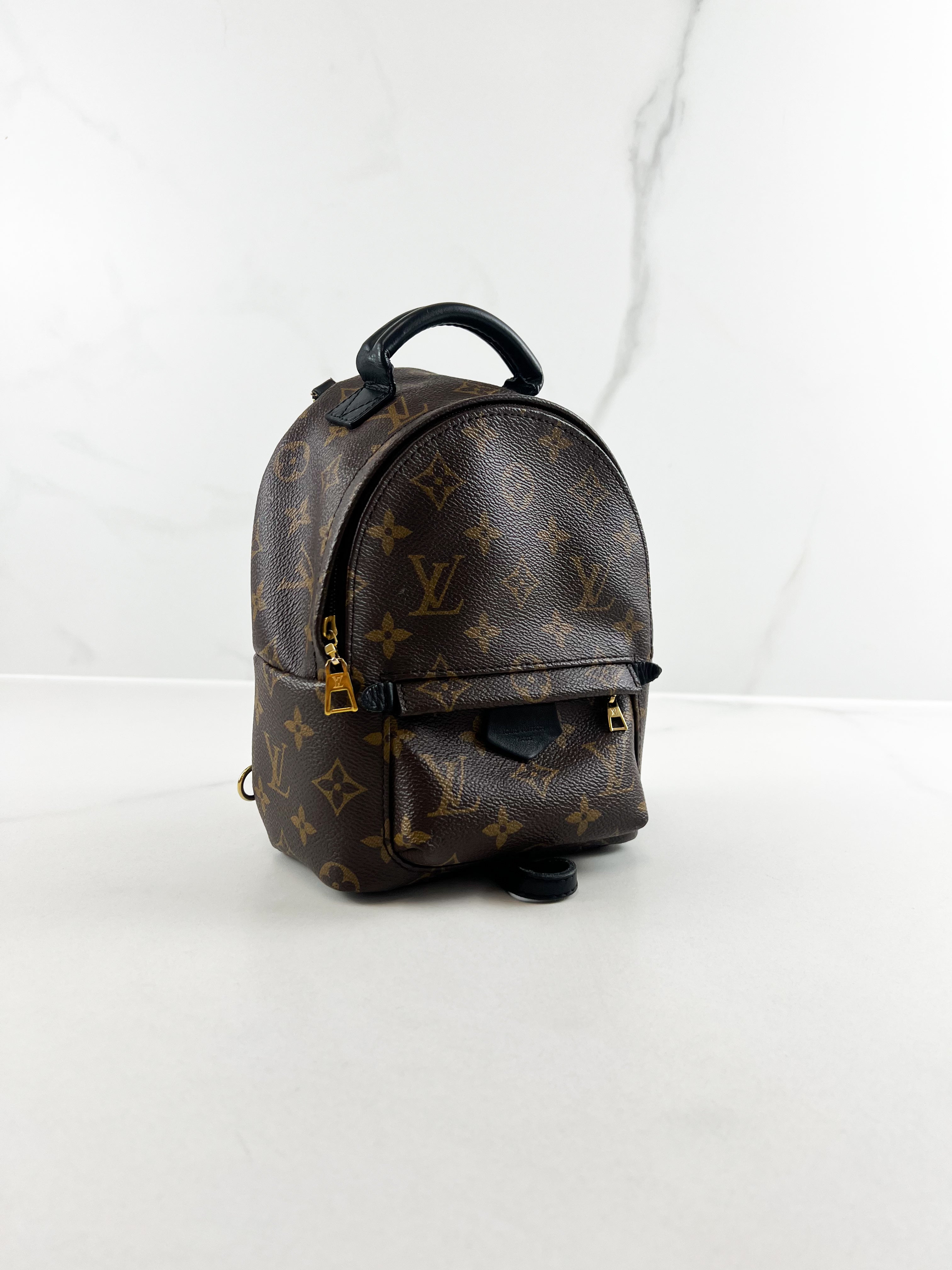 Louis Vuitton Palm Springs Mini