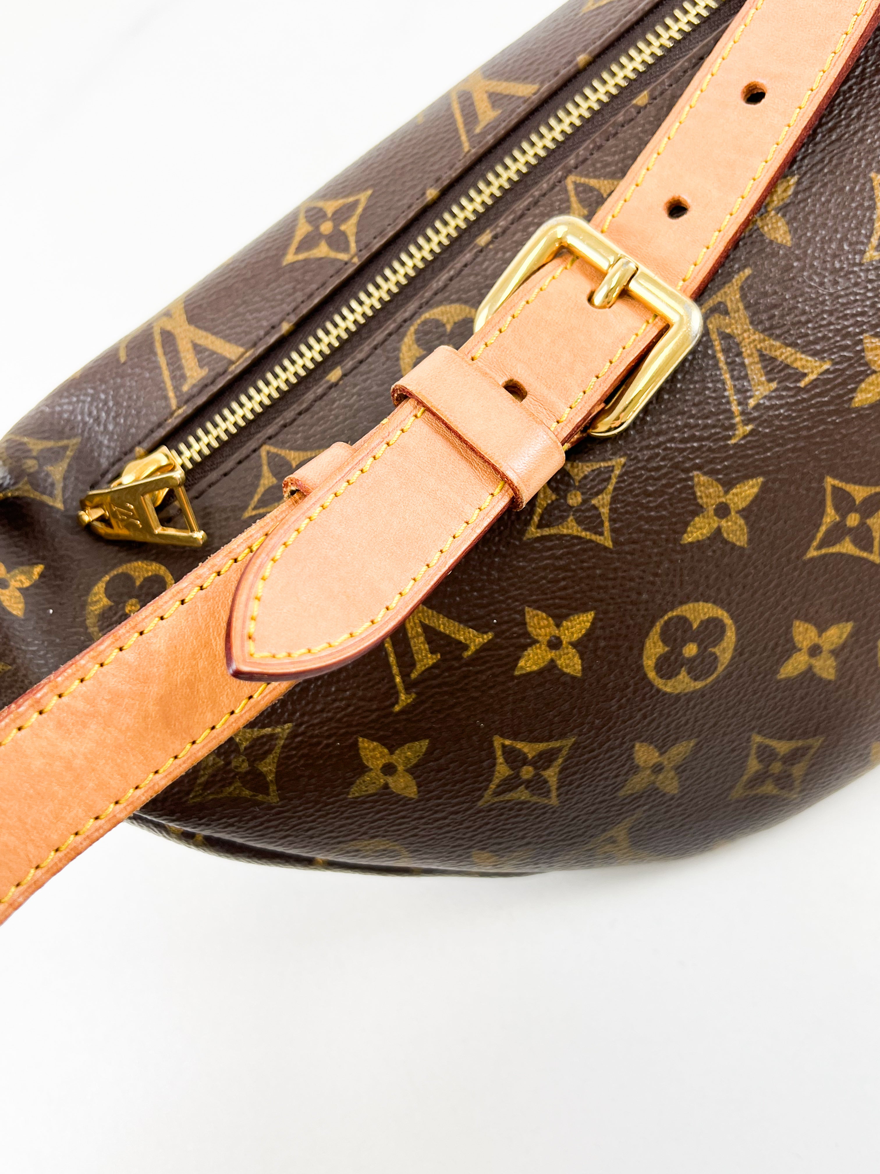 Louis Vuitton Monogram Canvas Bumbag