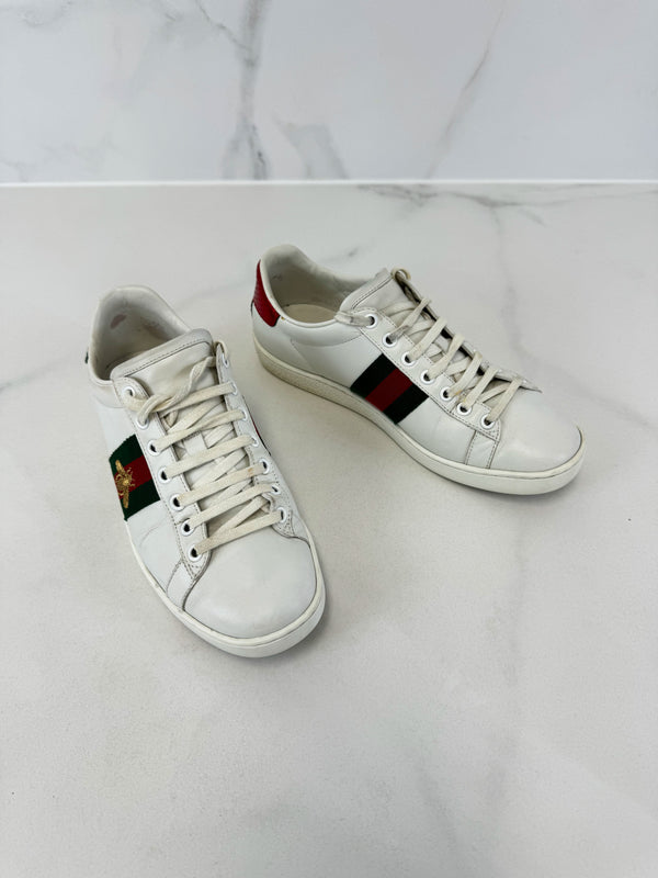 Gucci Ace Bee Sneaker Size 36.5