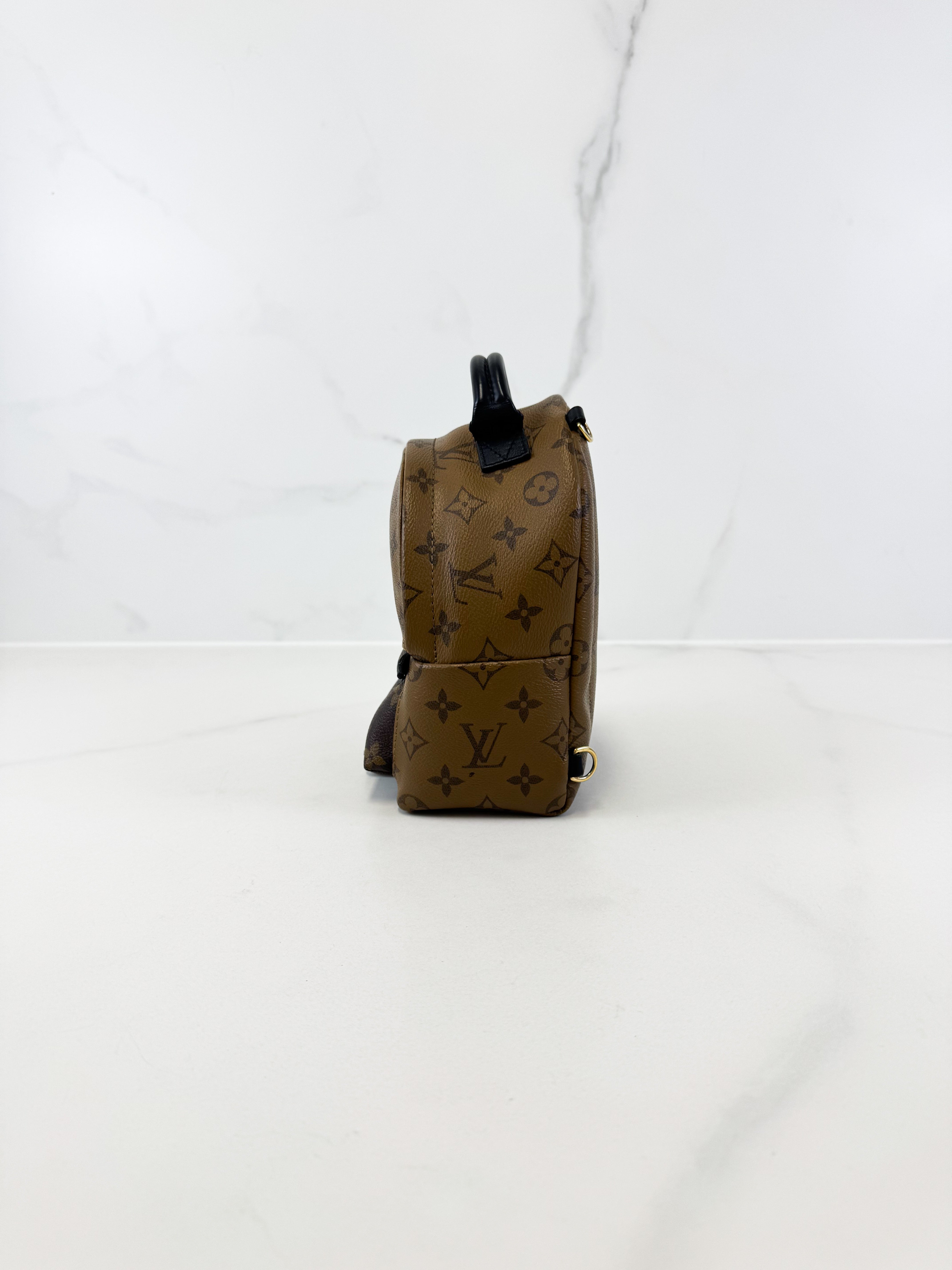 Louis Vuitton Reverse Palm Springs Mini Backpack
