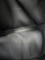 Louis Vuitton Damier Graphite Alpha Wearable Bag