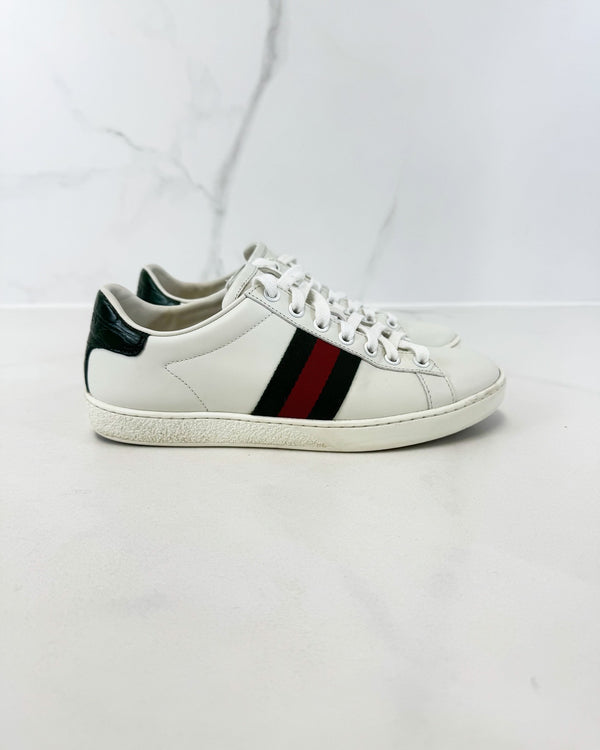Gucci Ace Sneaker Size 36