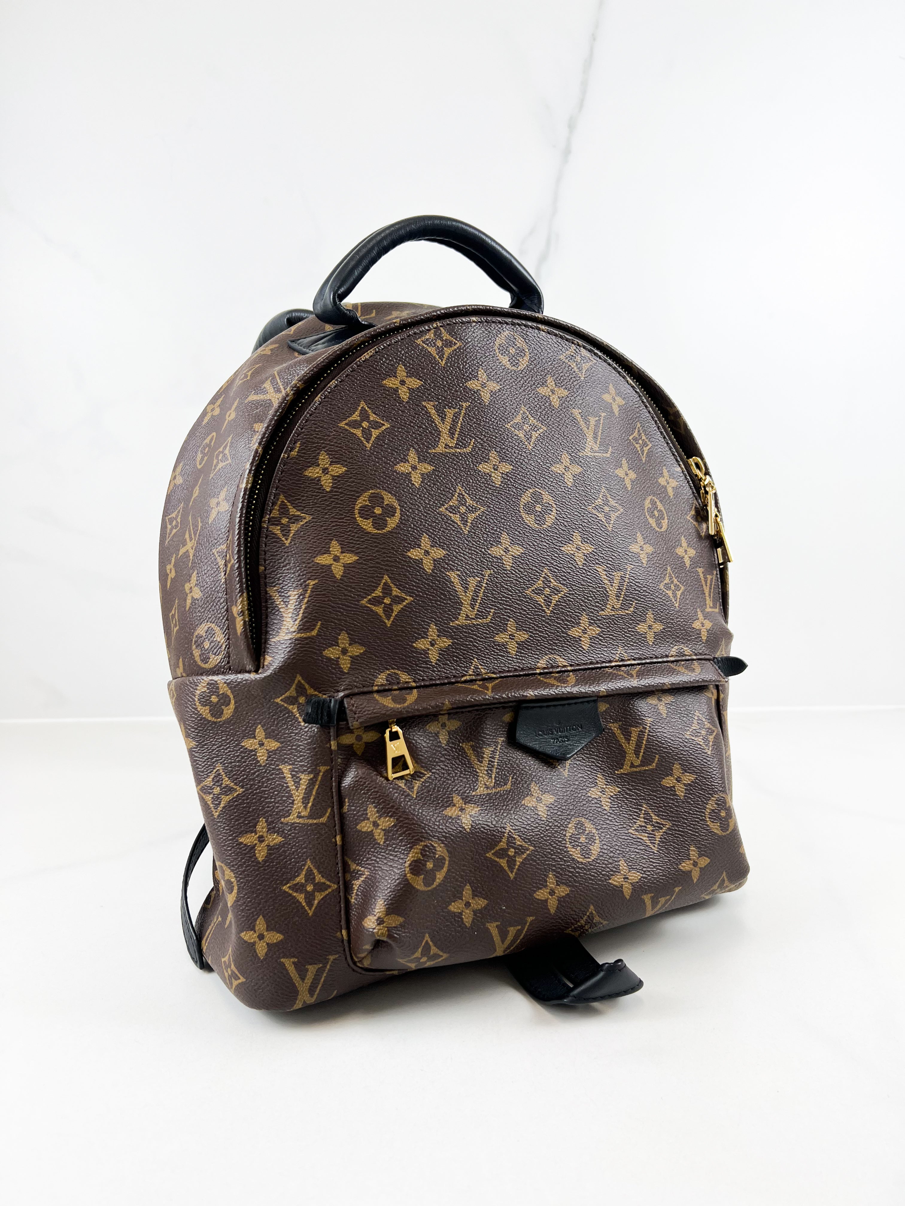 Louis Vuitton Palm Springs MM Monogram