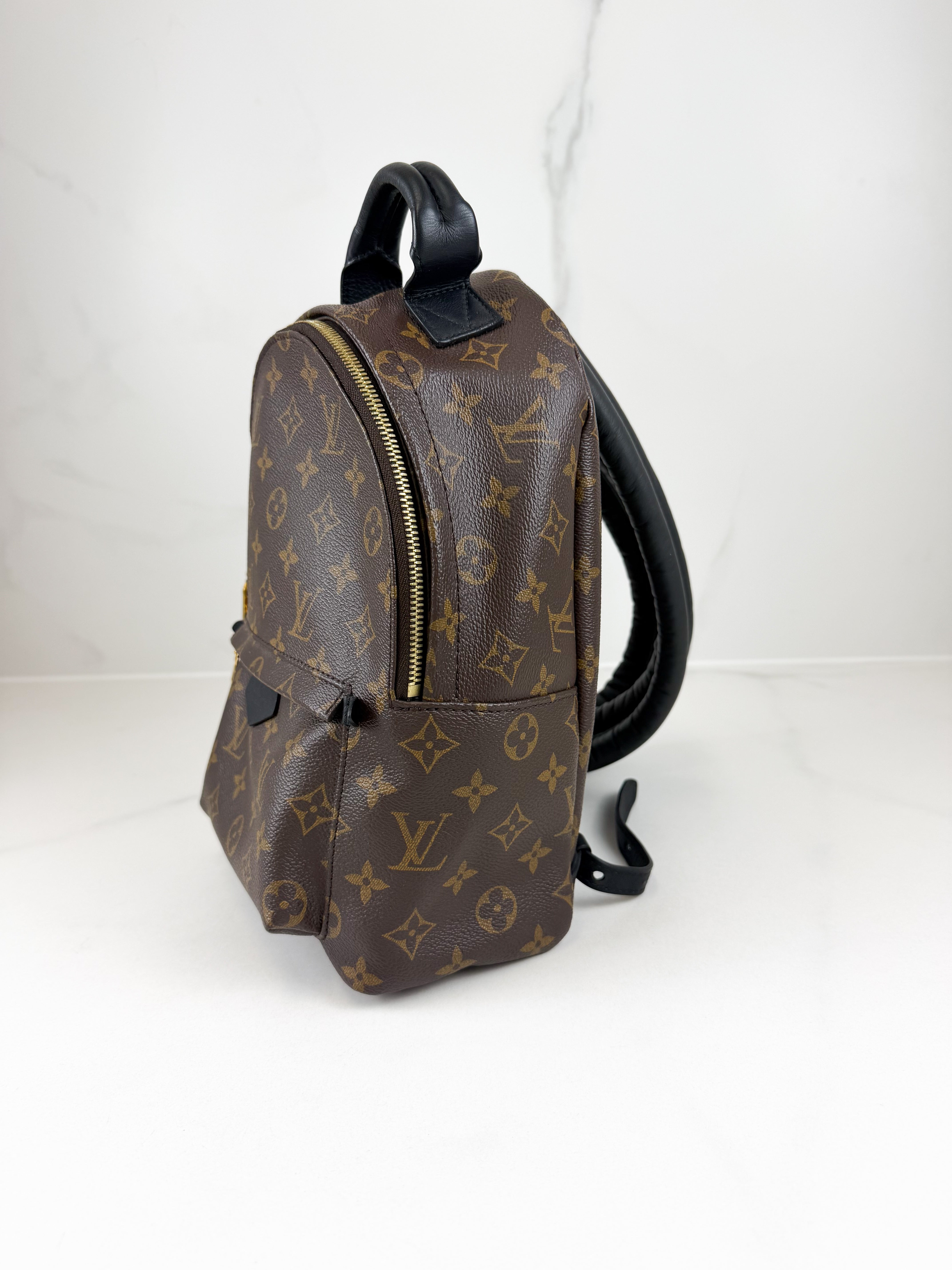 Louis Vuitton Palm Springs PM Monogram