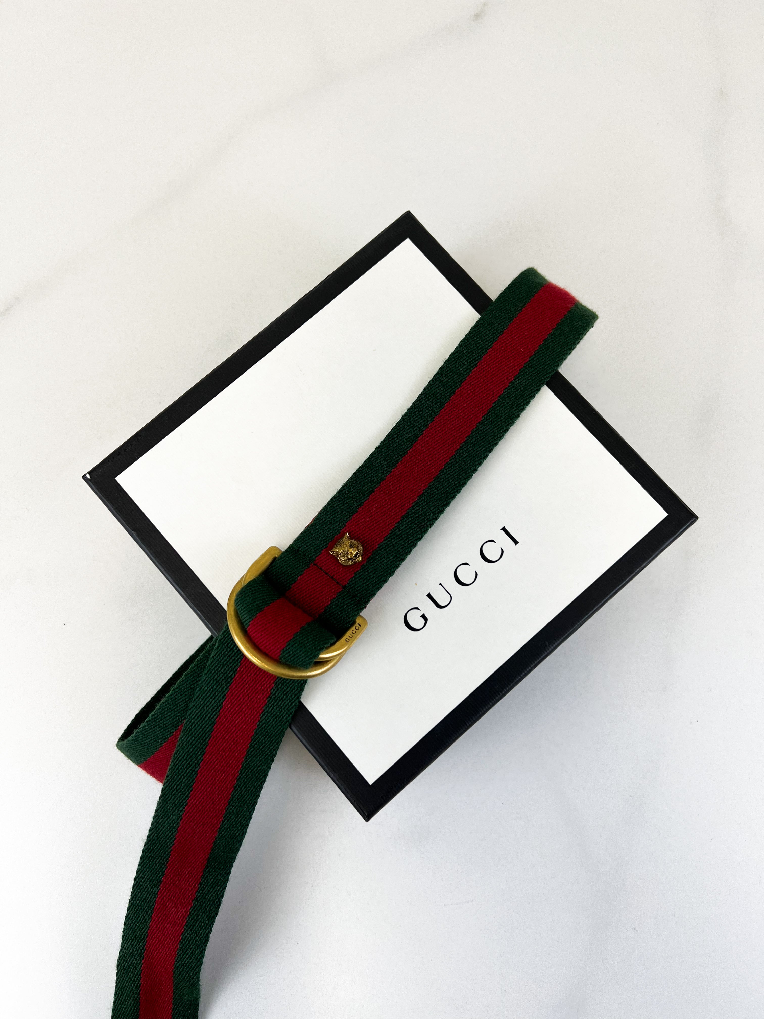 Gucci D-Ring Web Belt 40mm