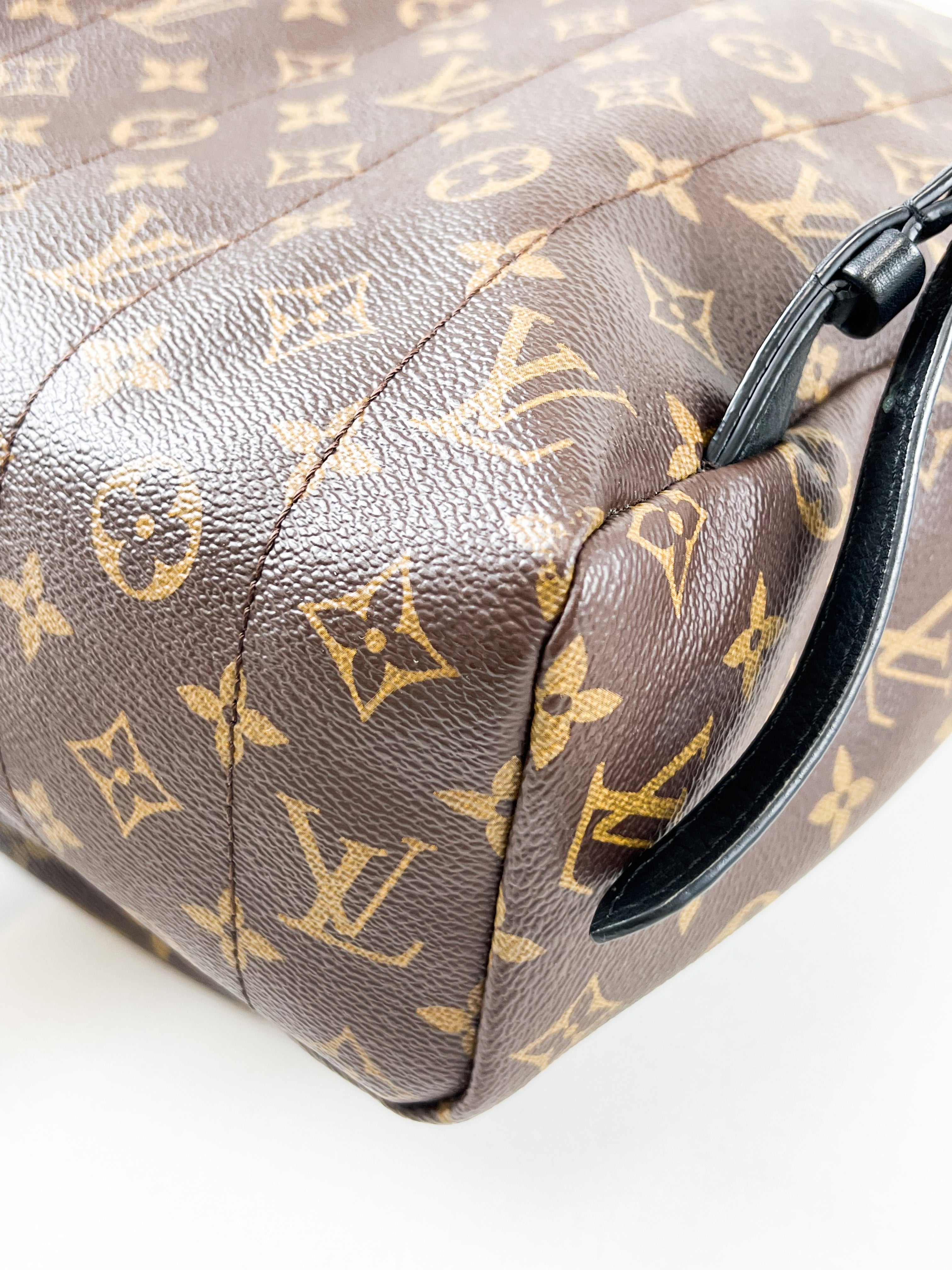 Louis Vuitton Palm Springs MM Monogram