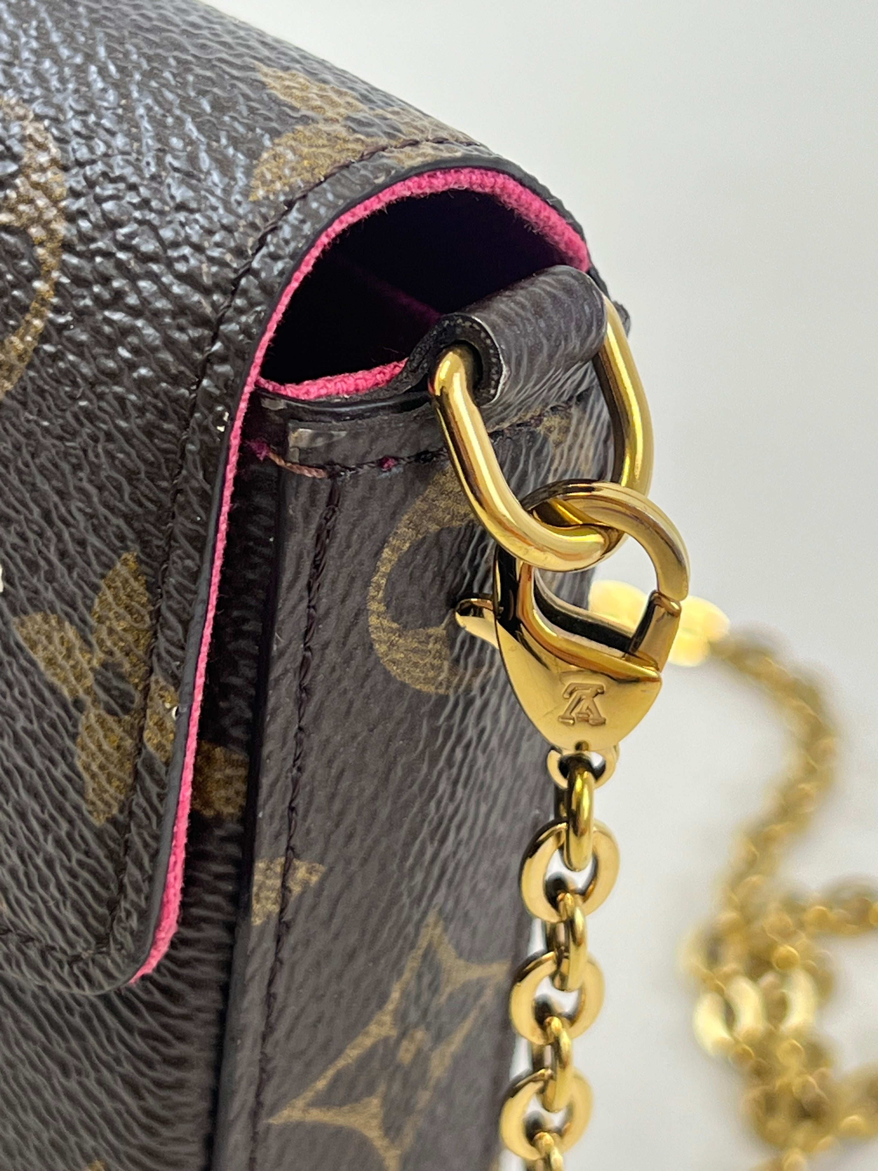 Louis Vuitton Limited Edition Felicie Pochette