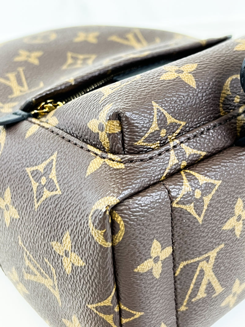 Louis Vuitton Palm Springs Mini
