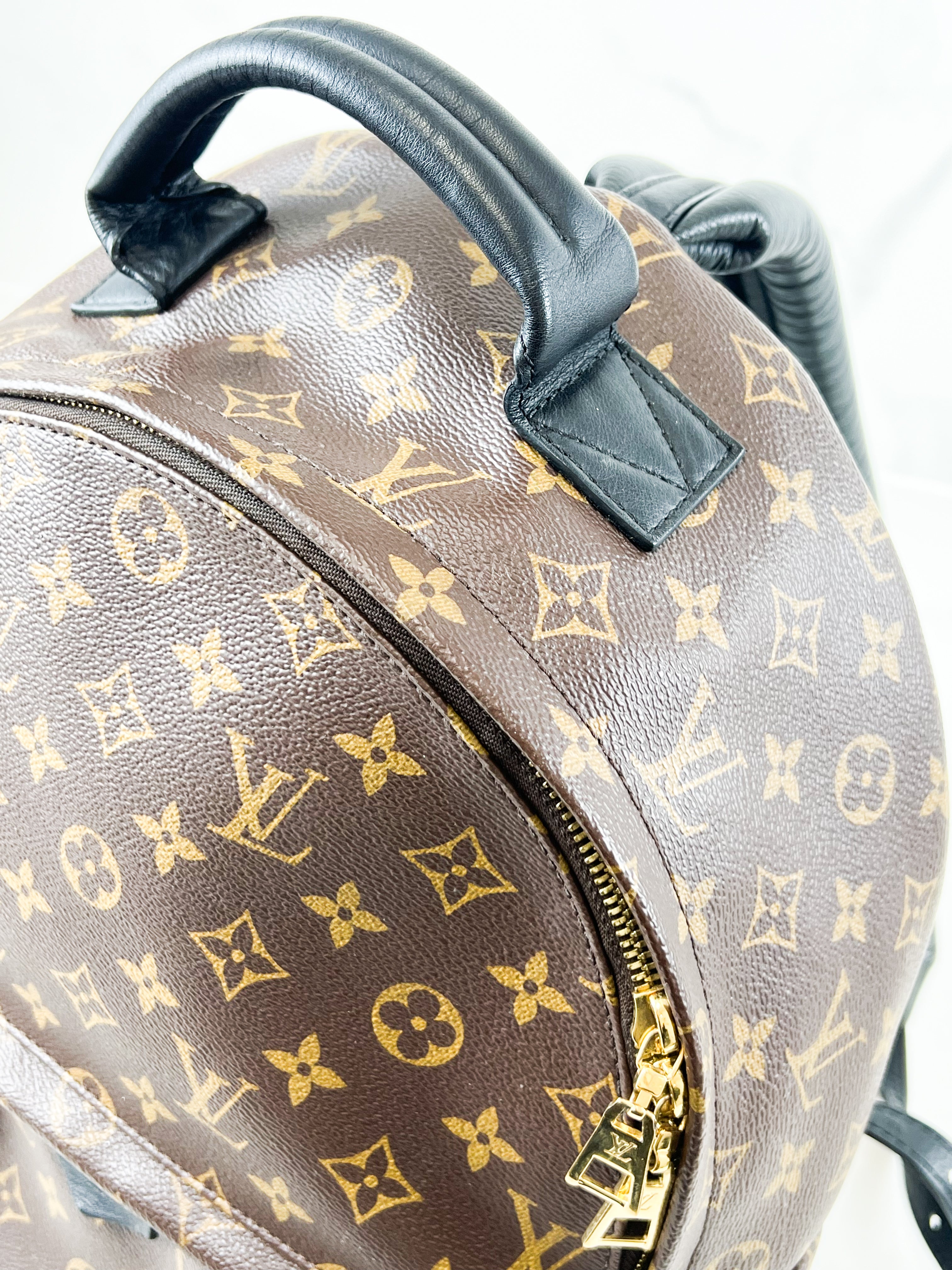 Louis Vuitton Palm Springs MM Monogram