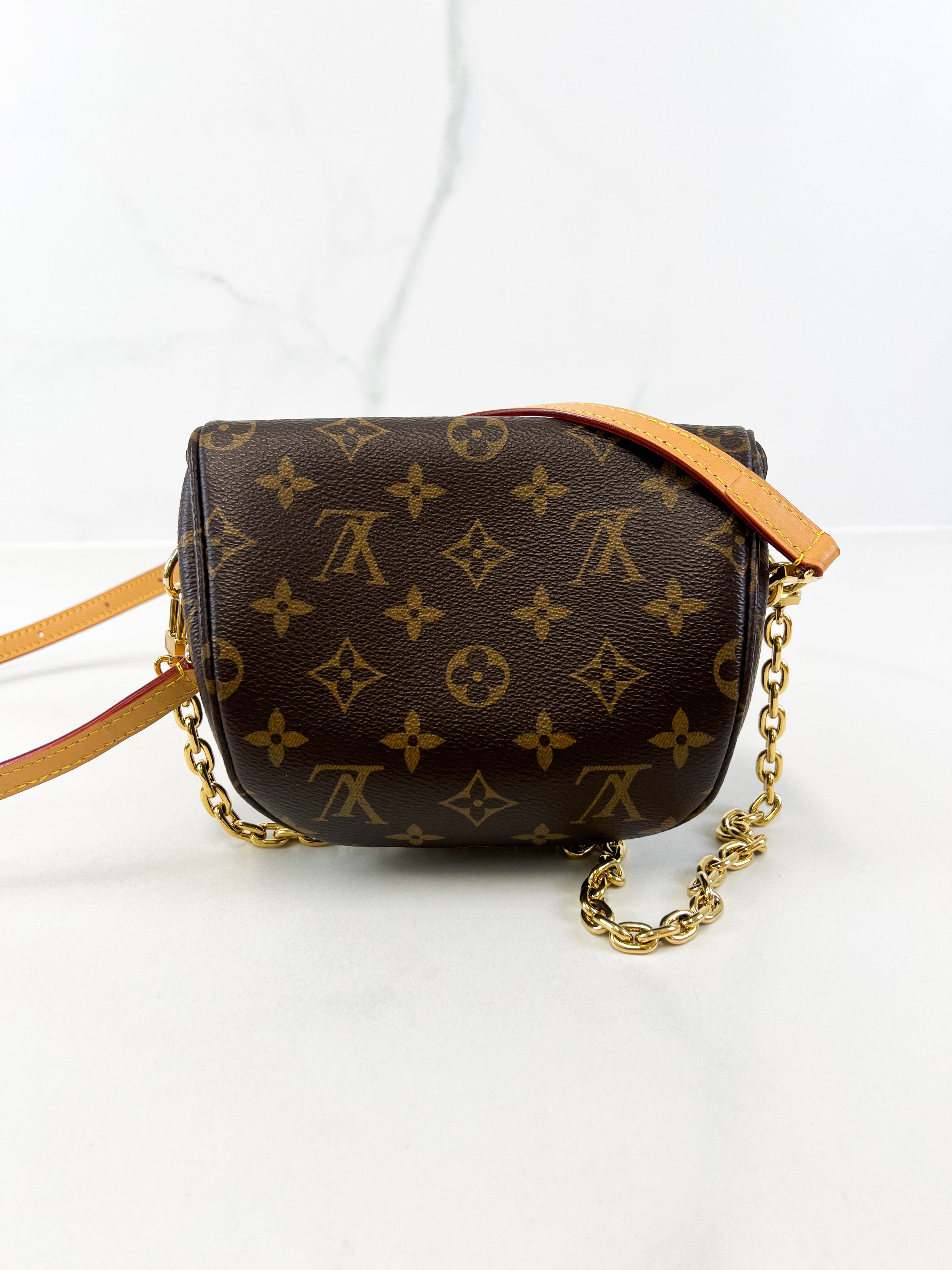 Louis Vuitton Monogram Canvas Bumbag