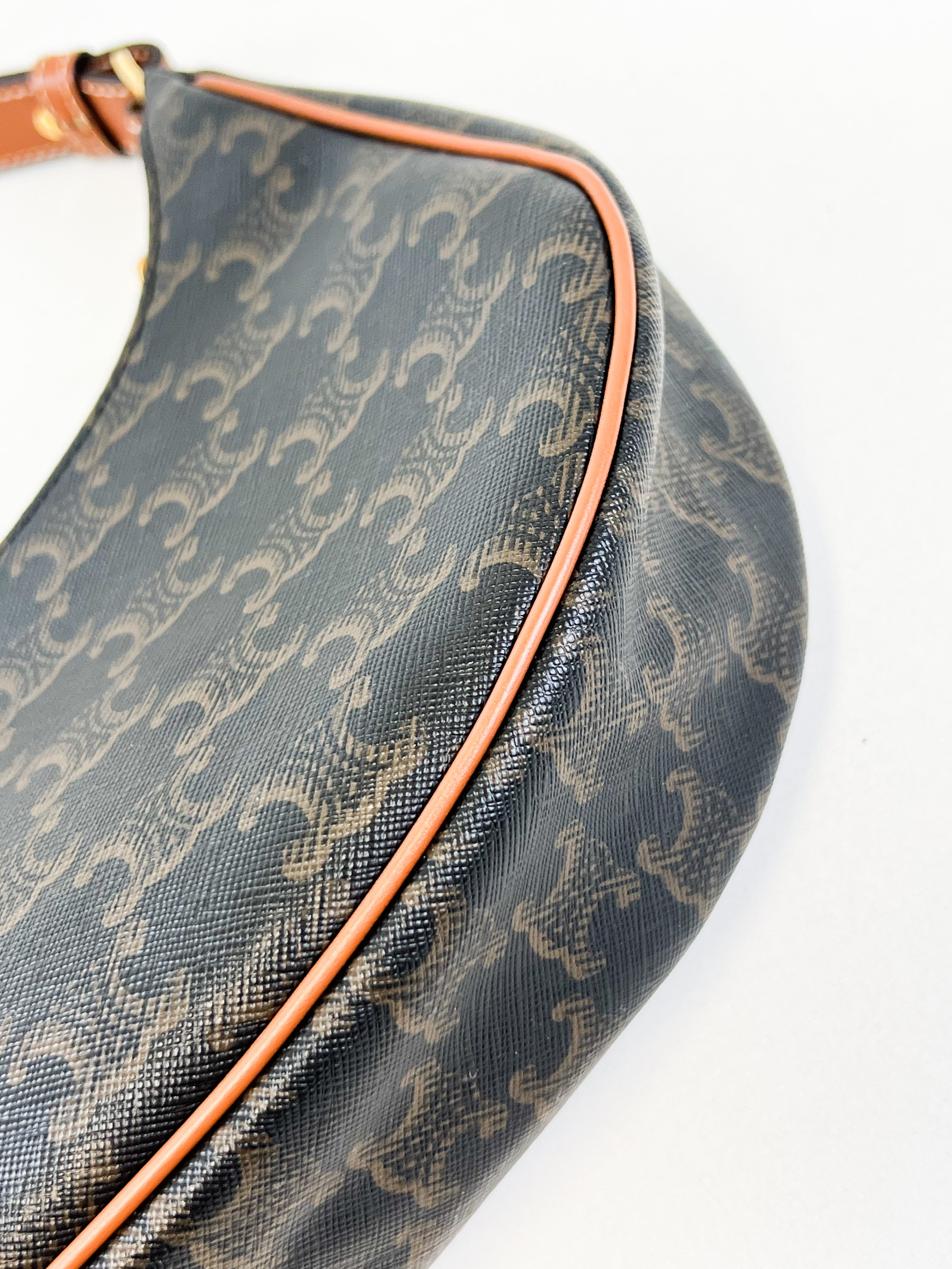 Celine Ava Bag in Triomphe Canvas & Calfskin Ta
