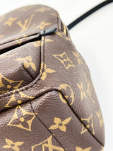 Louis Vuitton Palm Springs Mini