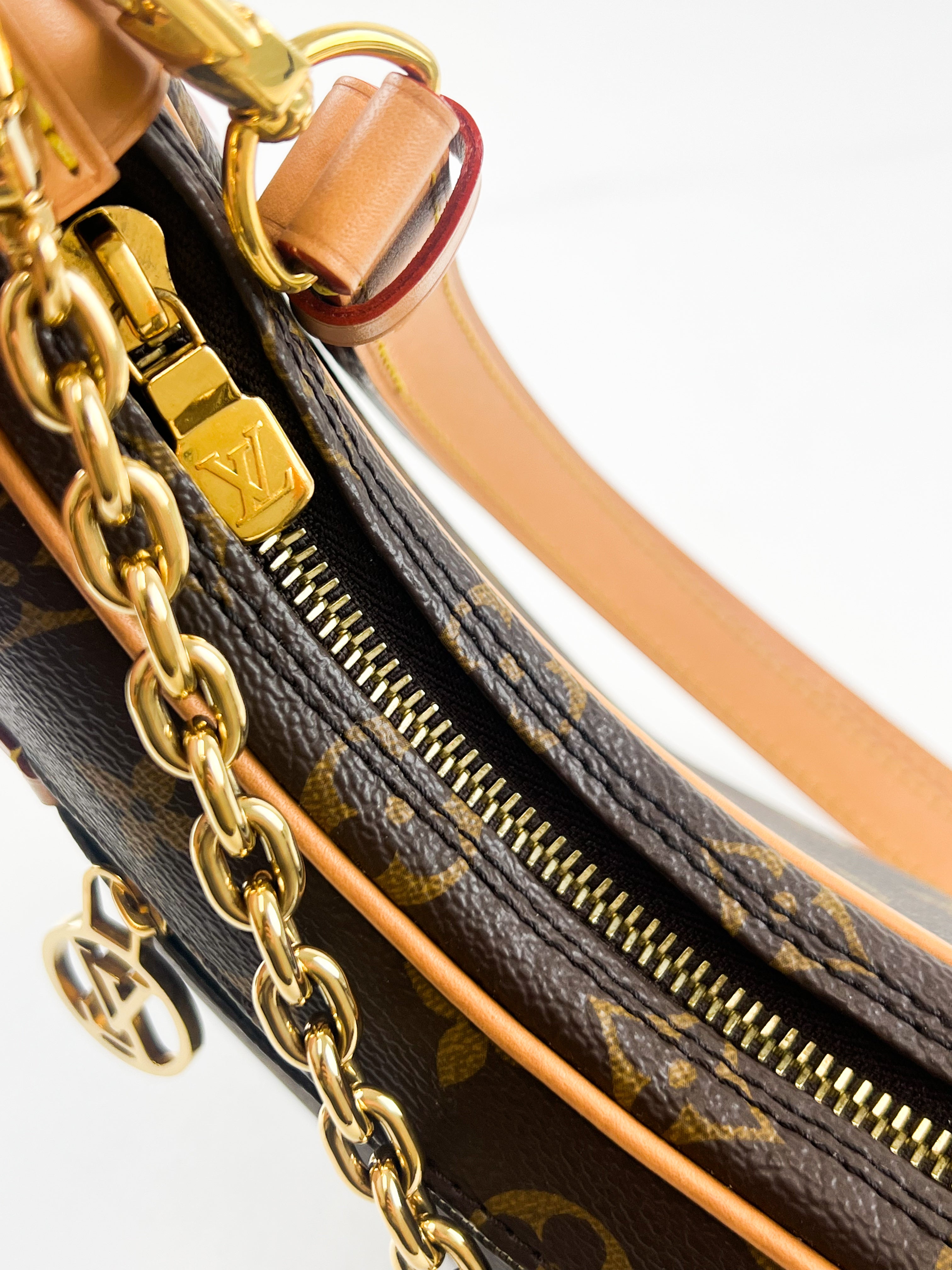 Louis Vuitton Loop Monogram