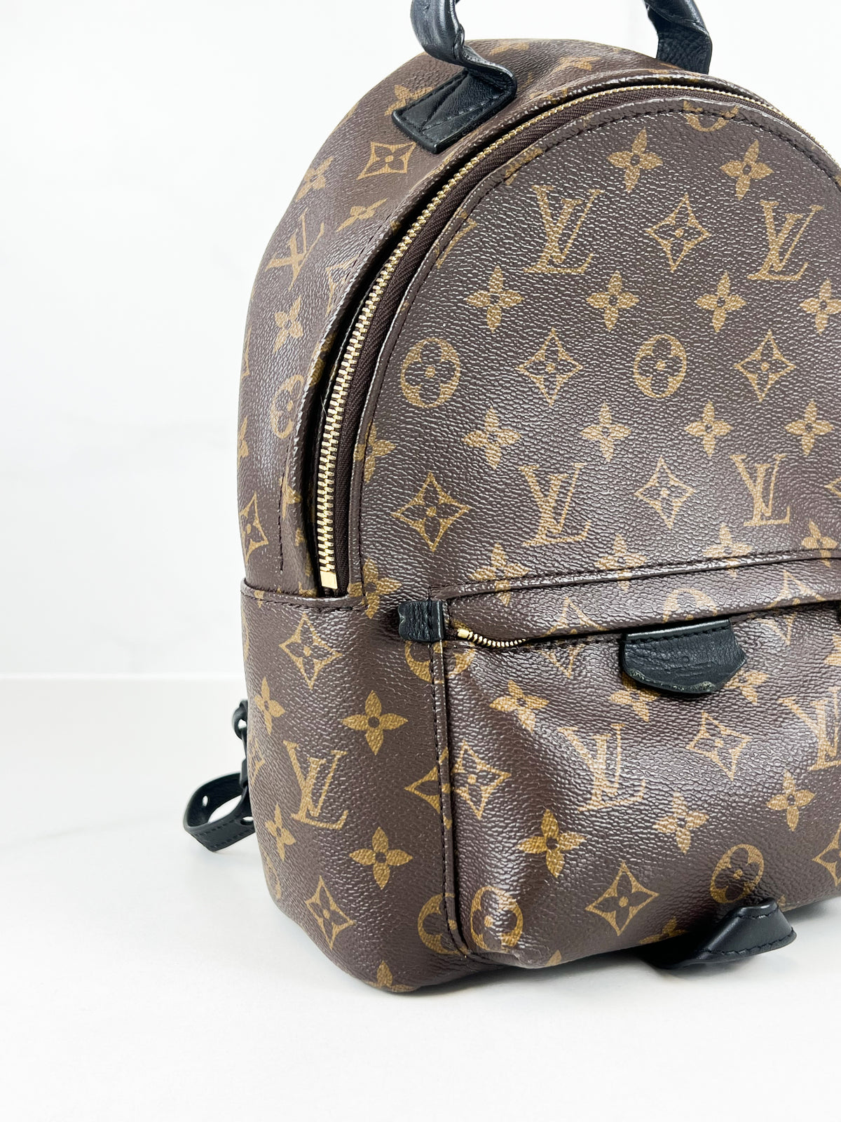 Louis Vuitton Palm Springs PM Monogram