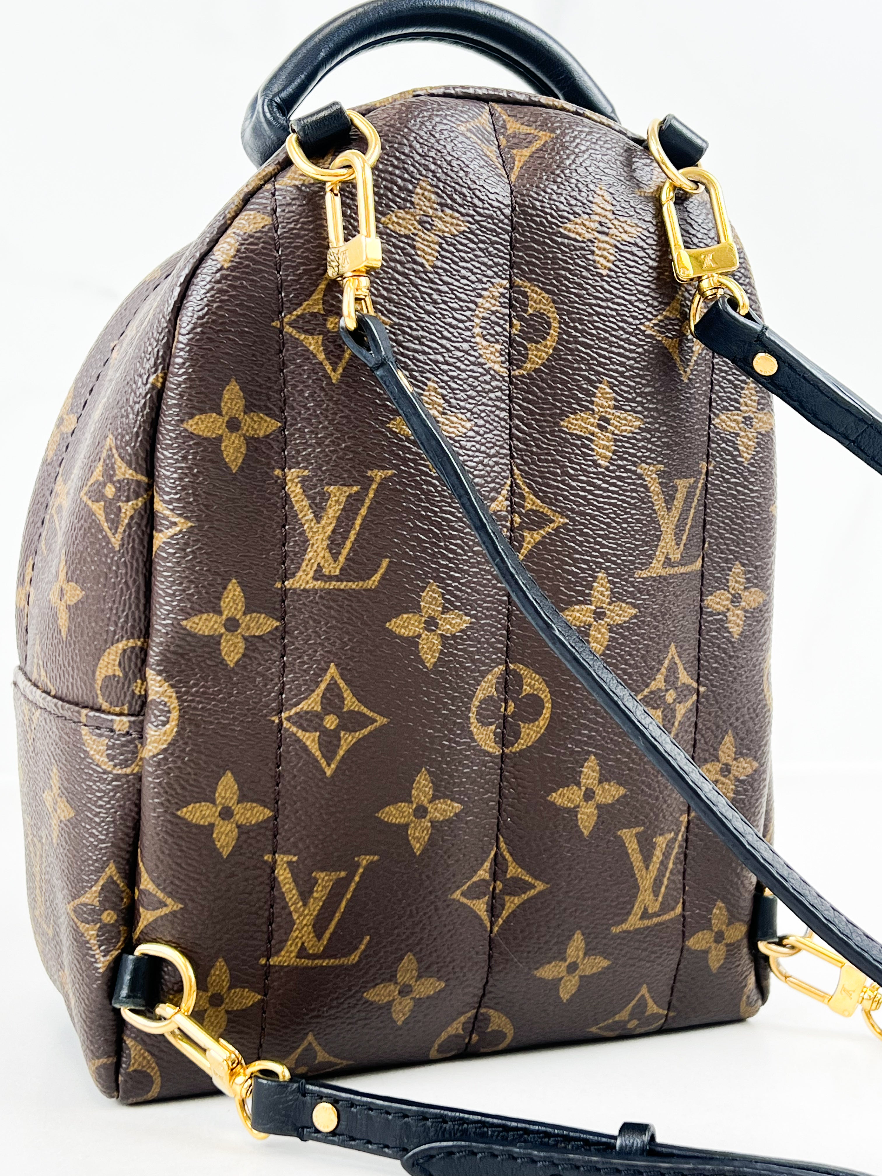 Louis Vuitton Palm Springs Mini