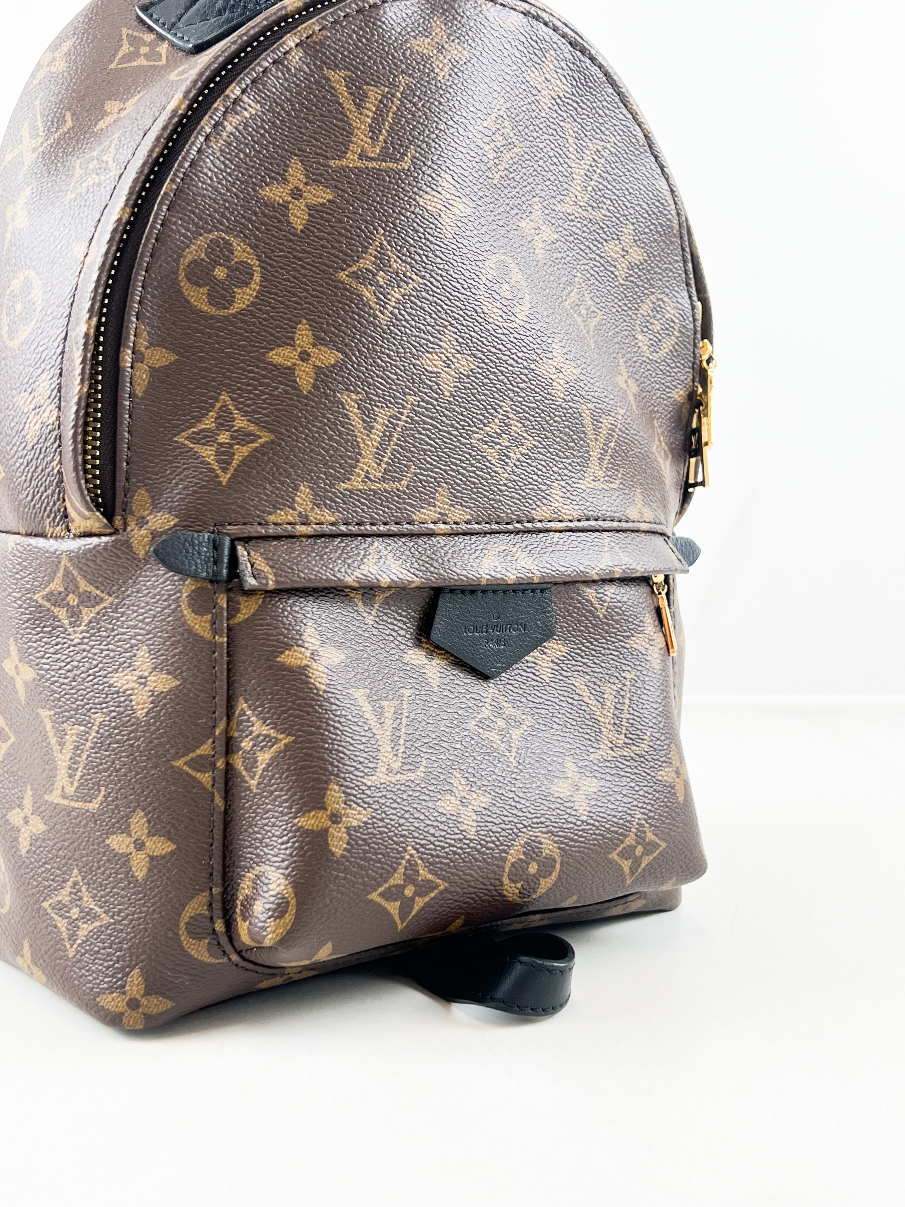 Louis Vuitton Palm Springs PM Monogram