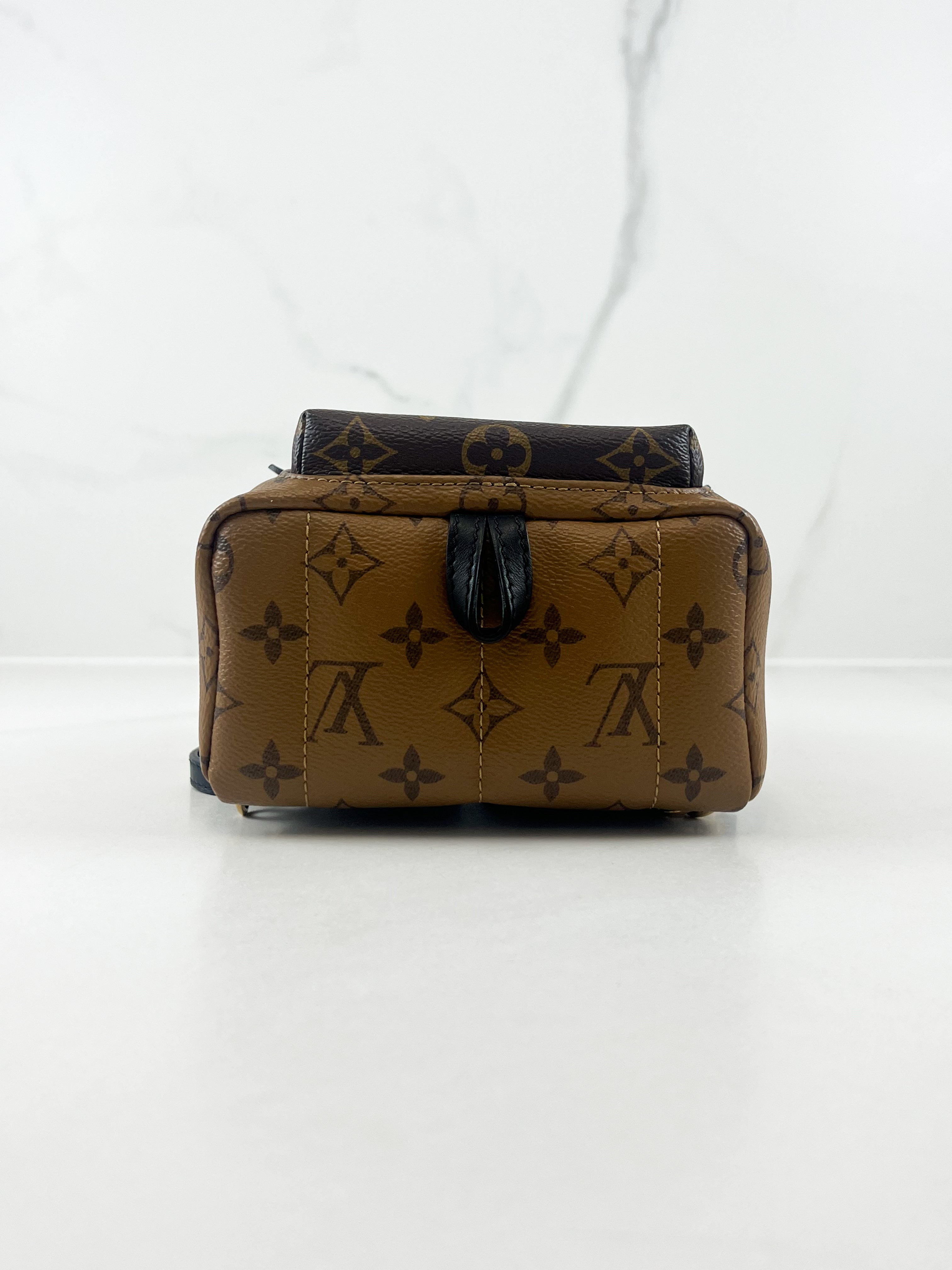 Louis Vuitton Reverse Palm Springs Mini Backpack