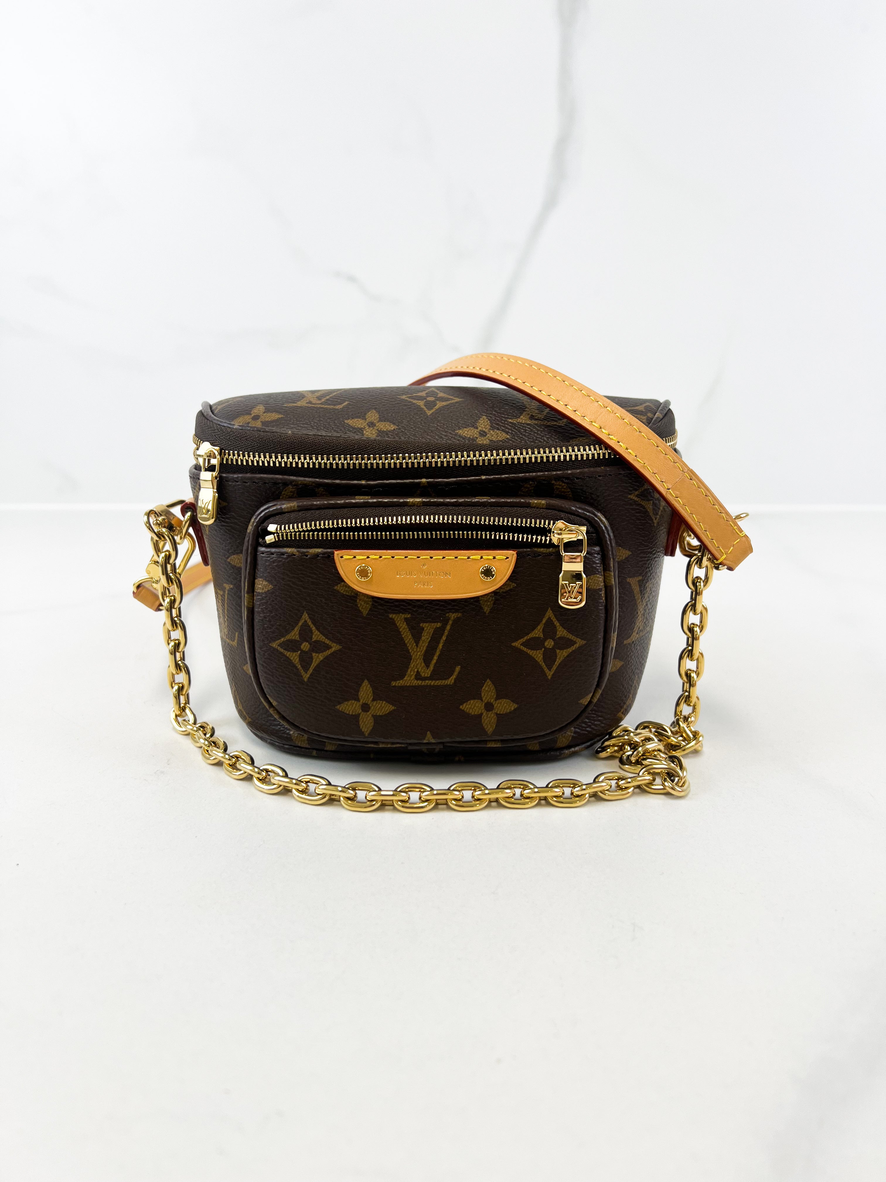 Louis Vuitton Monogram Canvas Bumbag