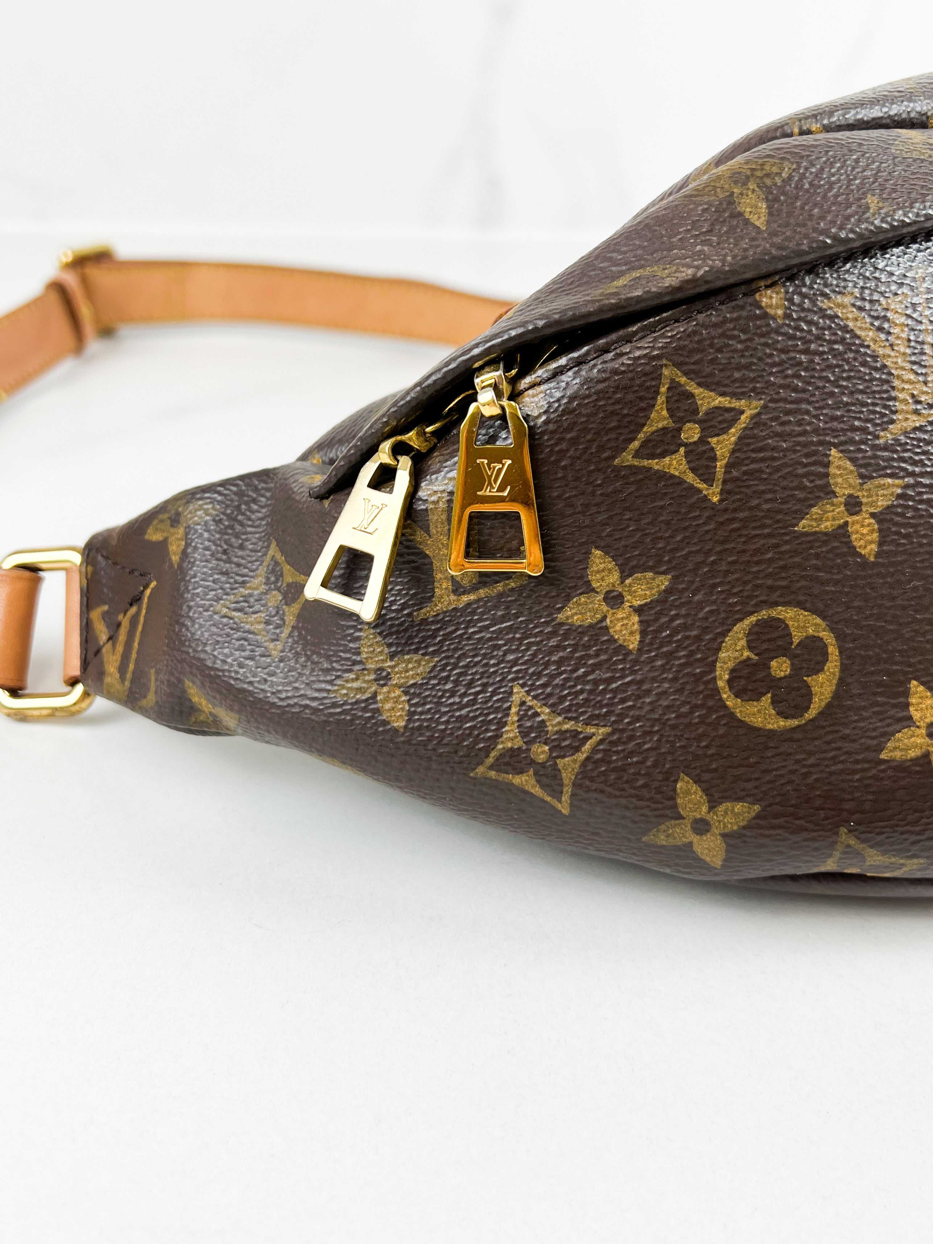 Louis Vuitton Monogram Canvas Bumbag