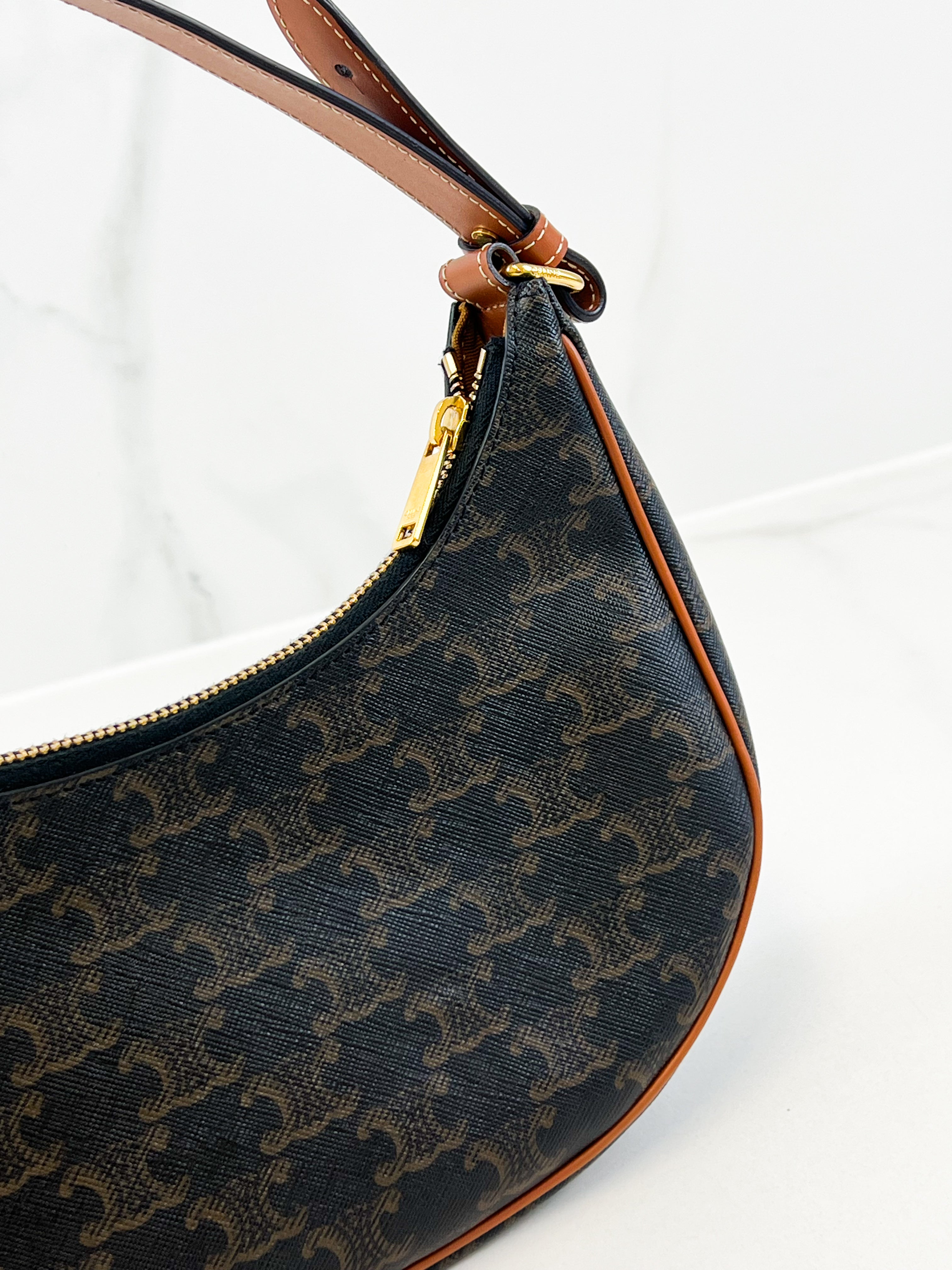 Celine Ava Bag in Triomphe Canvas & Calfskin Ta