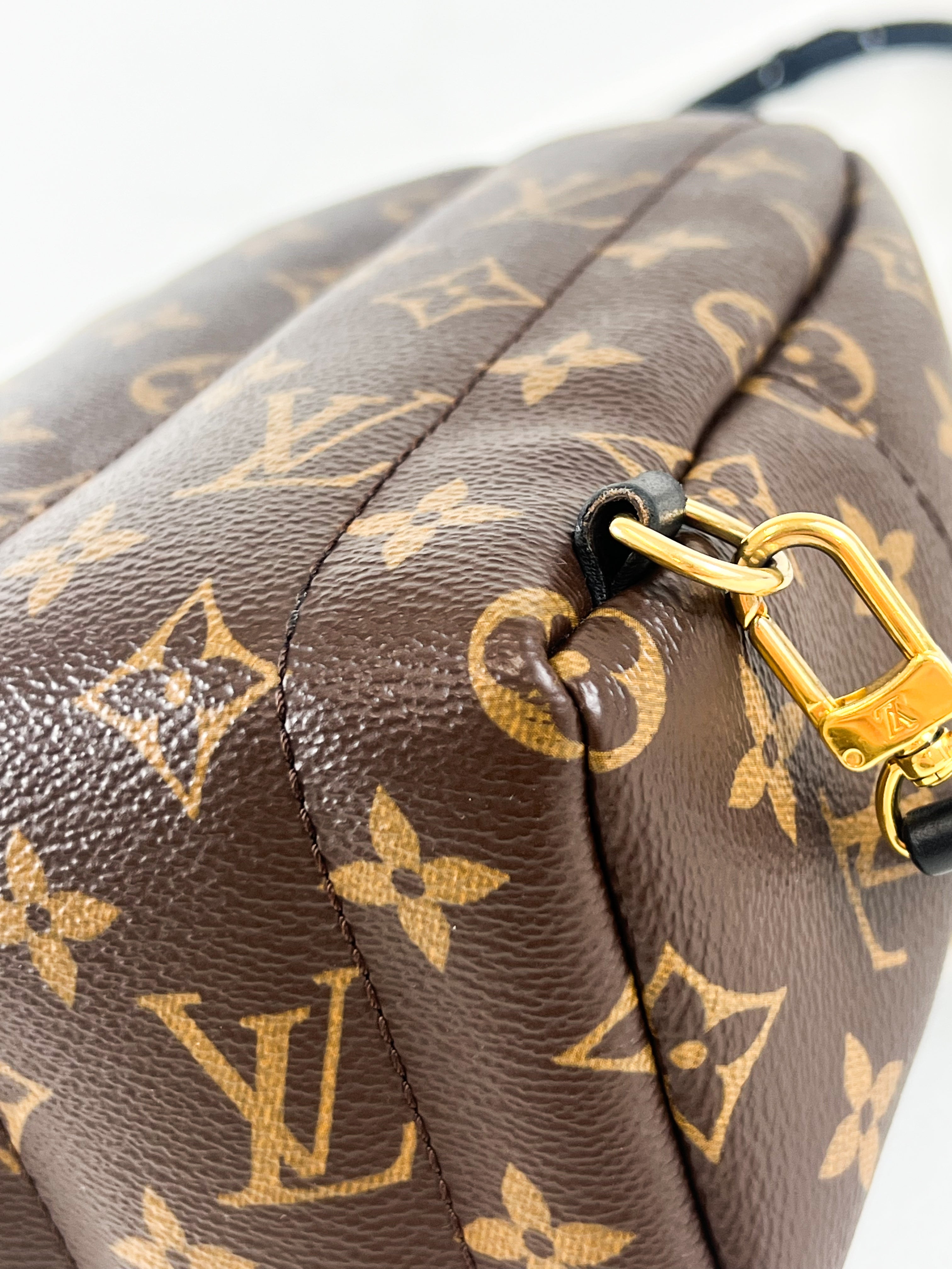 Louis Vuitton Palm Springs Mini