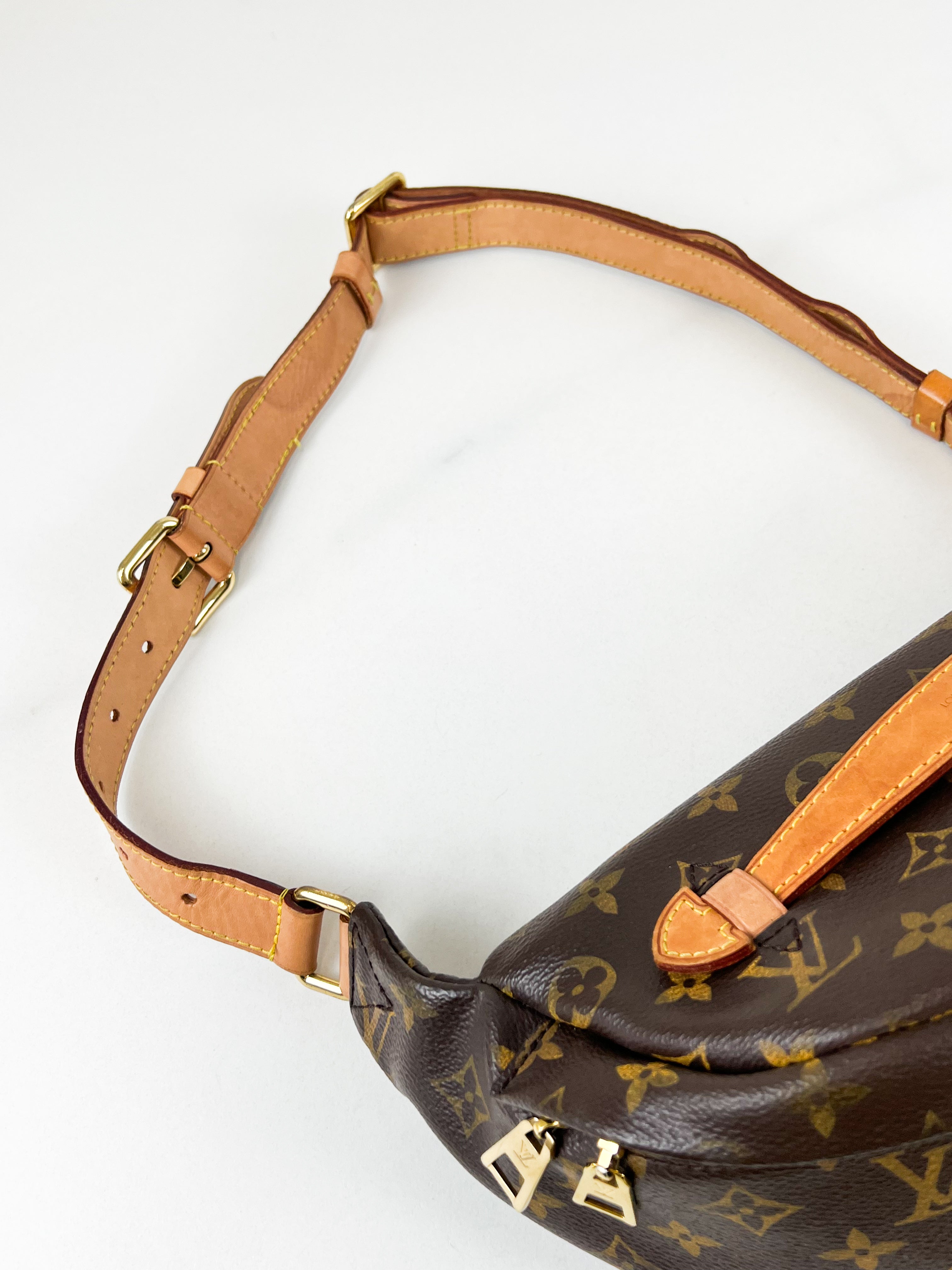 Louis Vuitton Monogram Canvas Bumbag