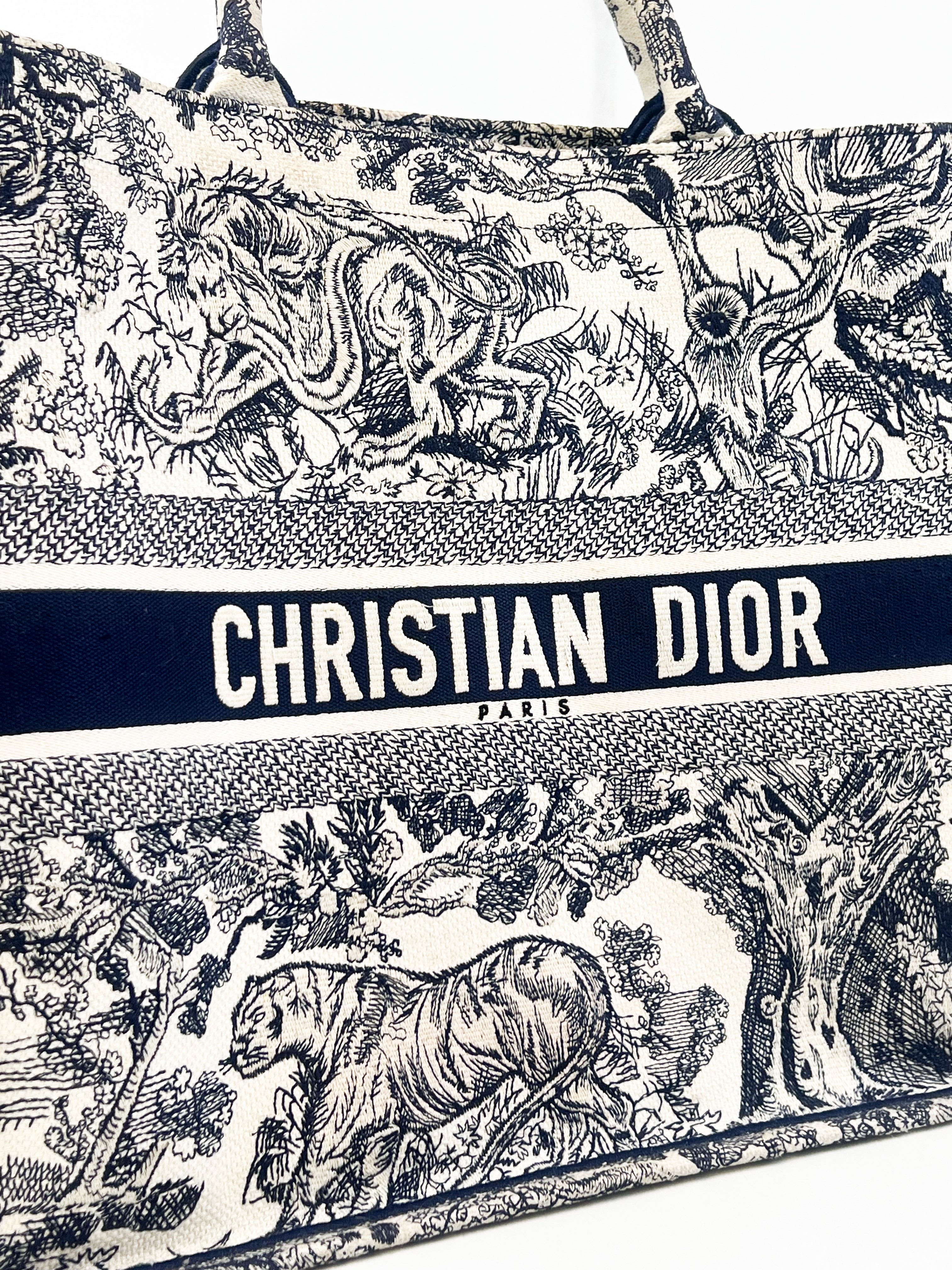 Christian Dior Large Book Tote