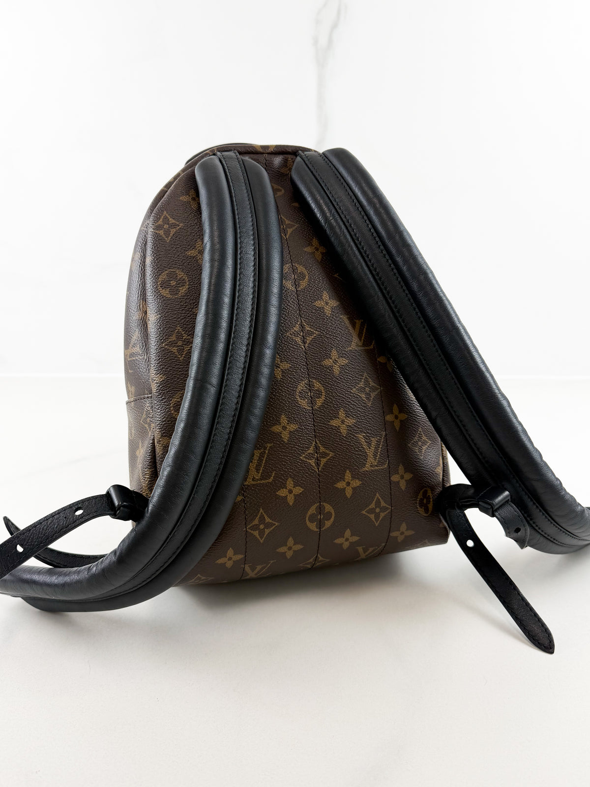 Louis Vuitton Palm Springs PM Reverse Monogram