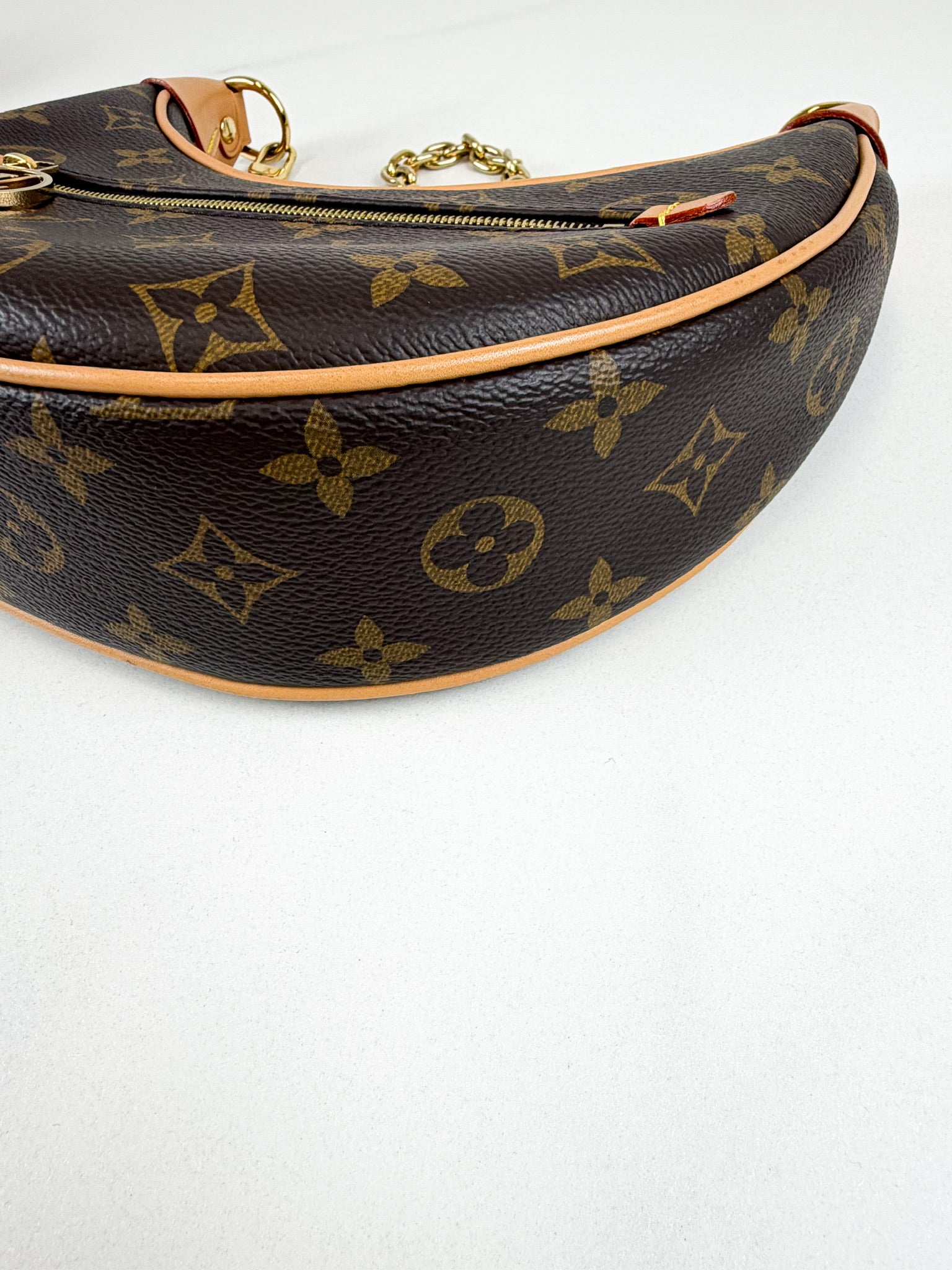 Louis Vuitton Loop Monogram Chain Bag