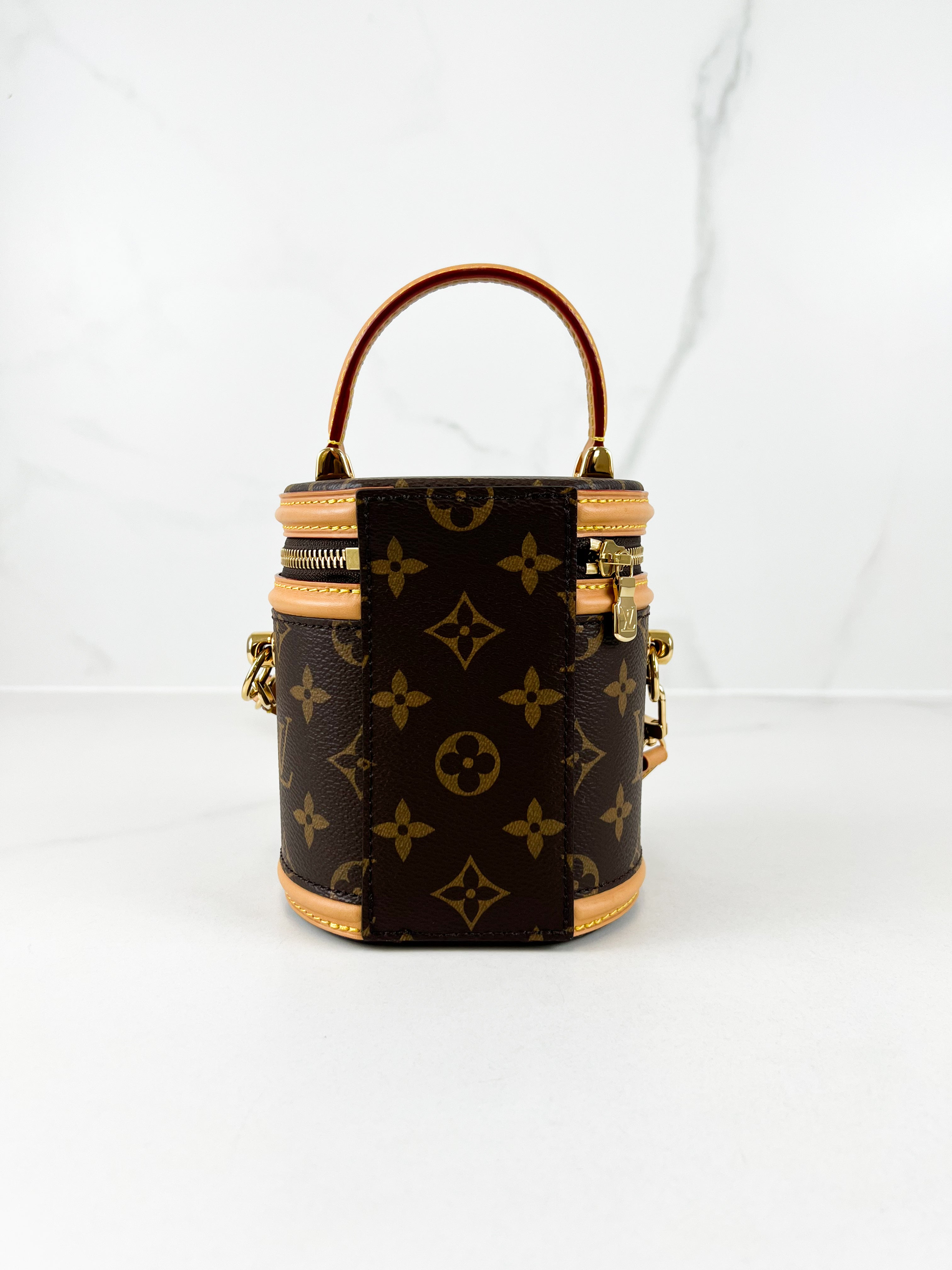 Louis Vuitton Nano Cannes in Monogram Canvas
