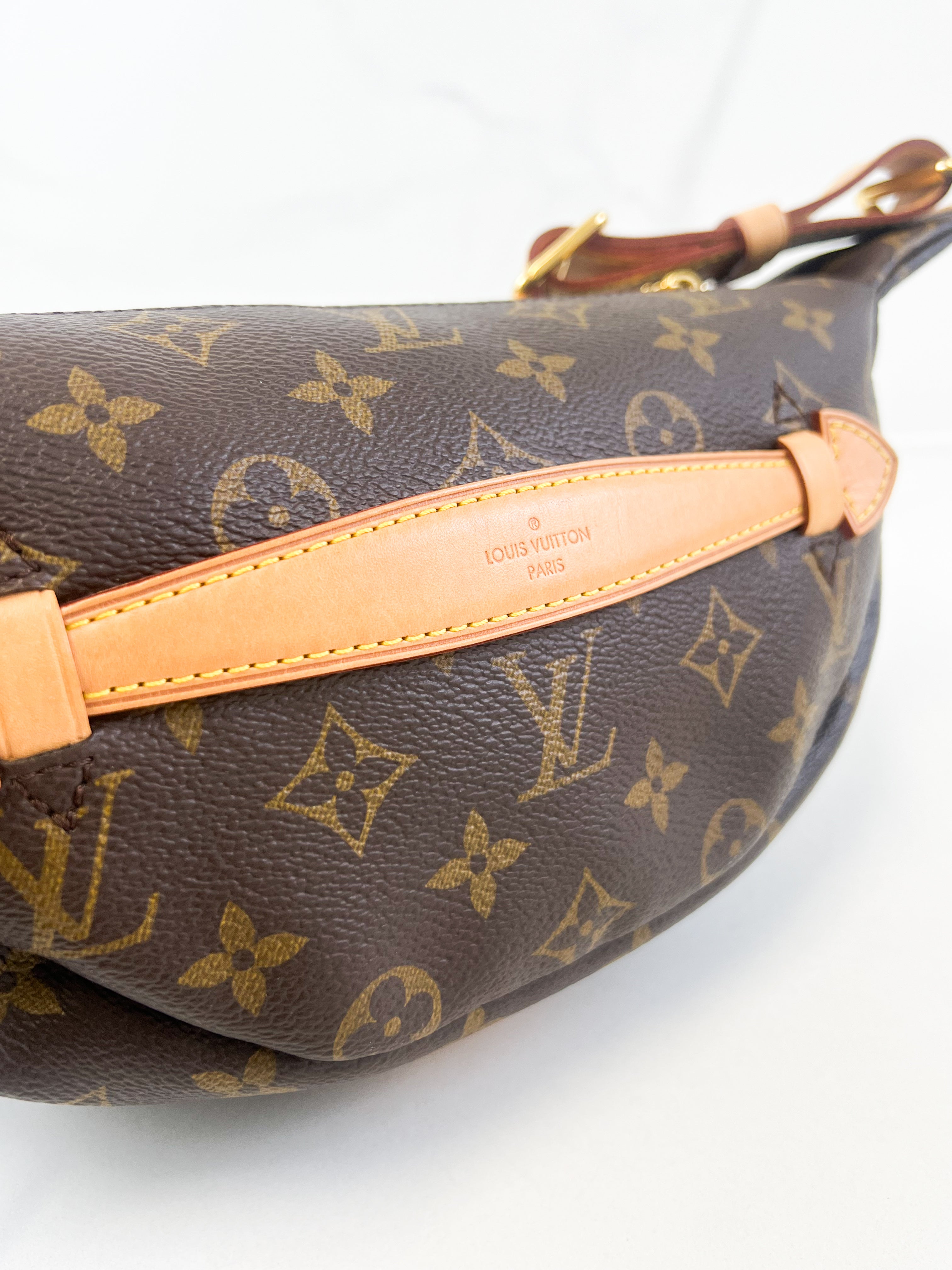 Louis Vuitton Monogram Canvas Bumbag