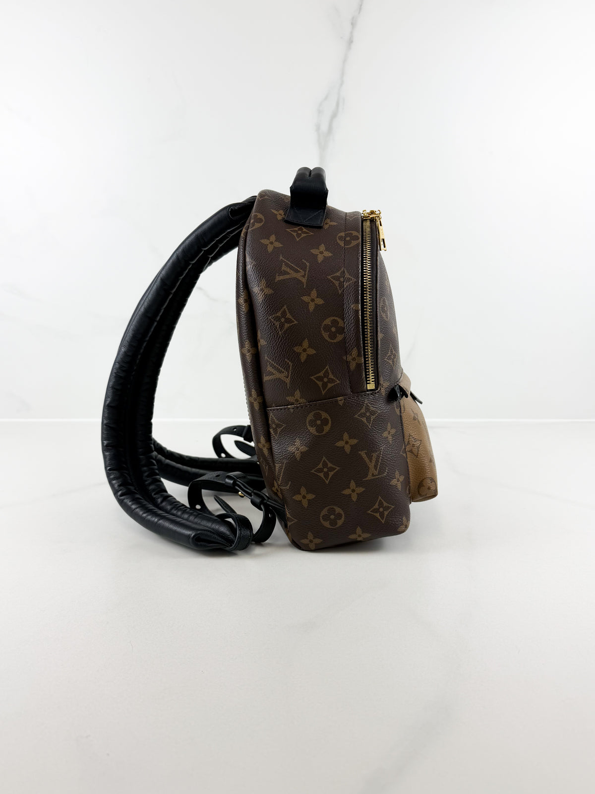Louis Vuitton Palm Springs PM Reverse Monogram