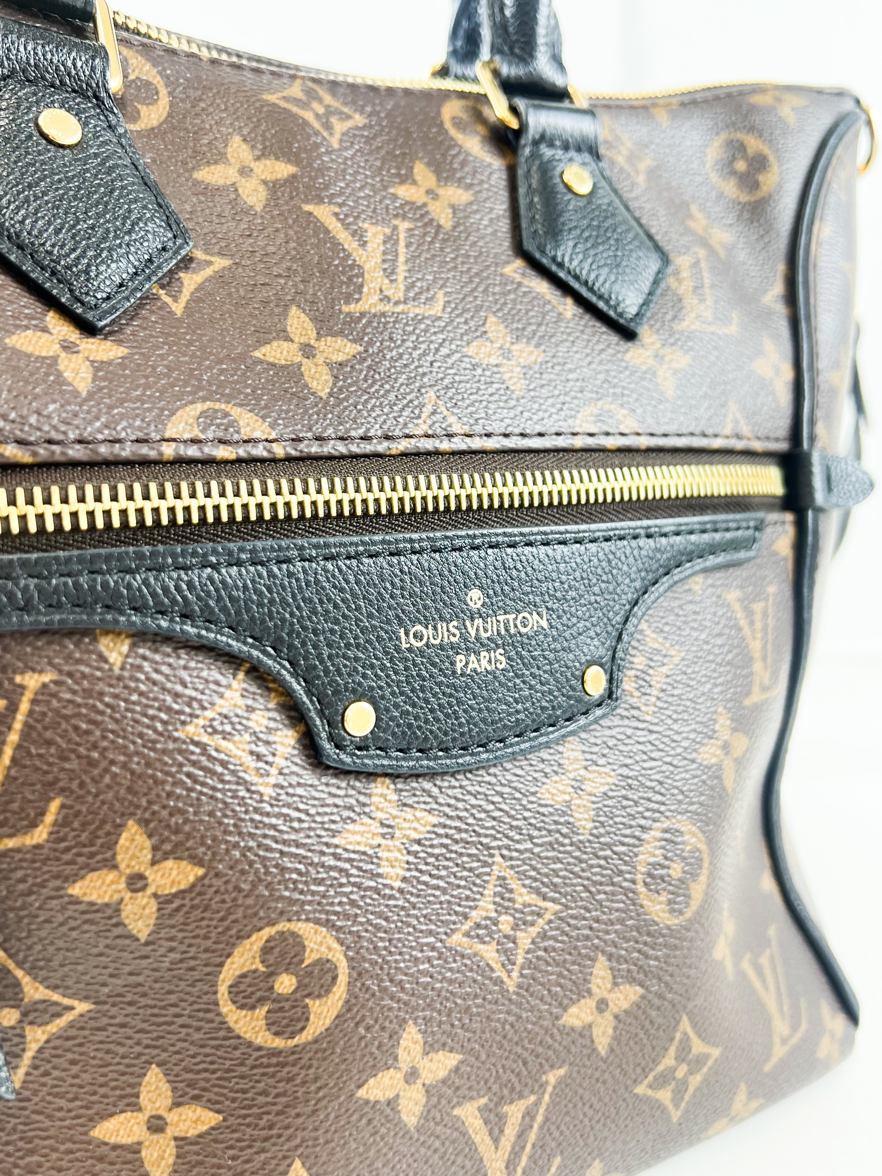 Louis Vuitton Tournelle PM Tote