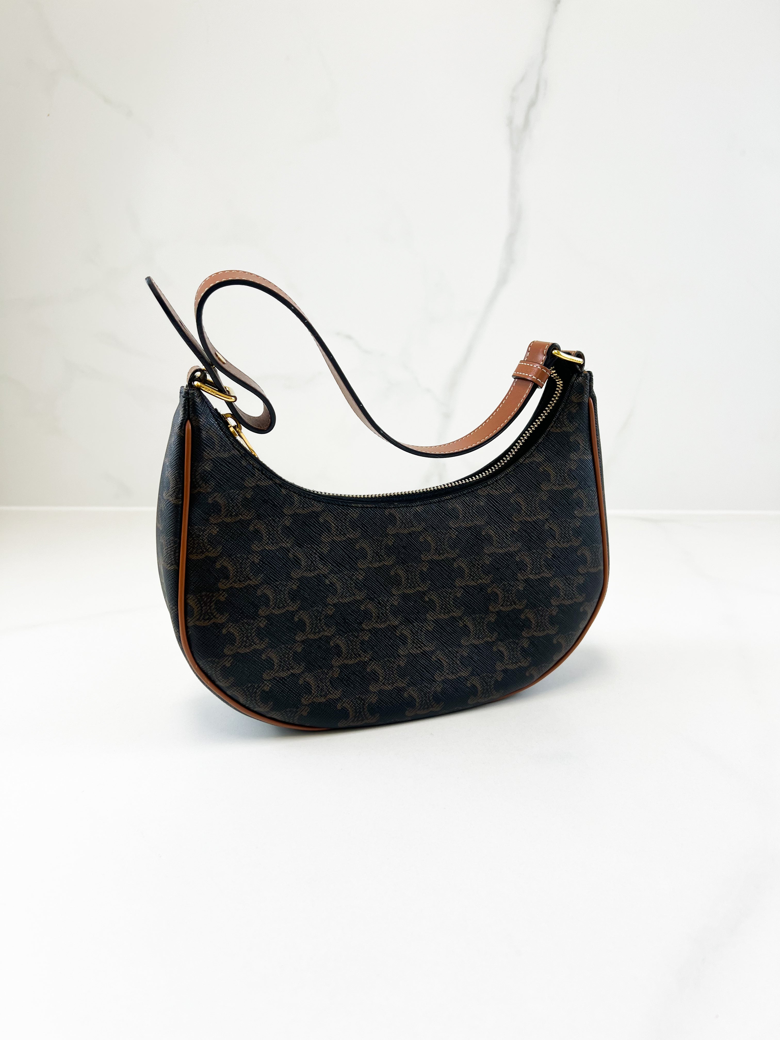 Celine Medium Ava Bag in Triomphe Canvas & Calfskin