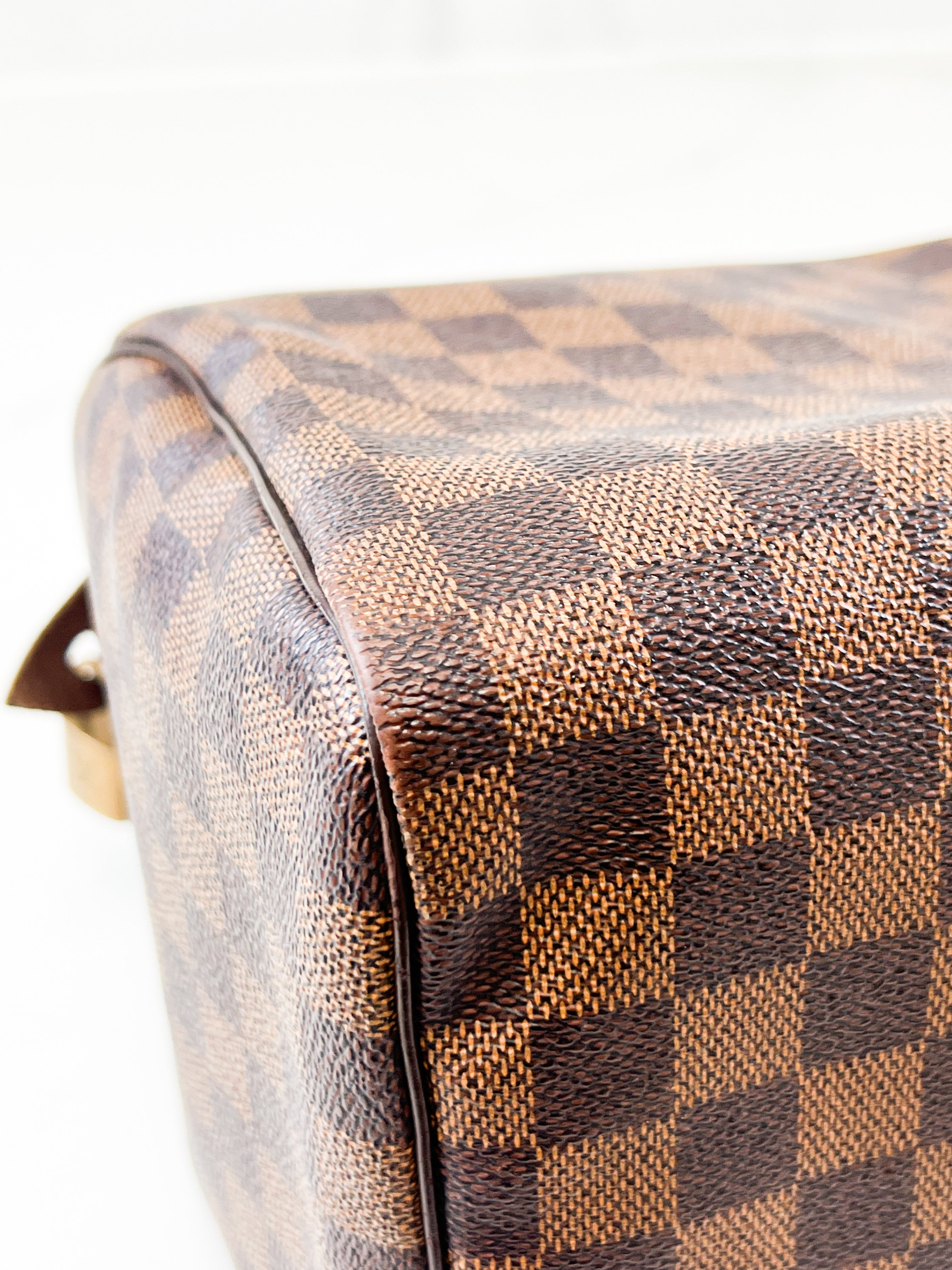 Louis Vuitton Speedy 25 Damier Ebene