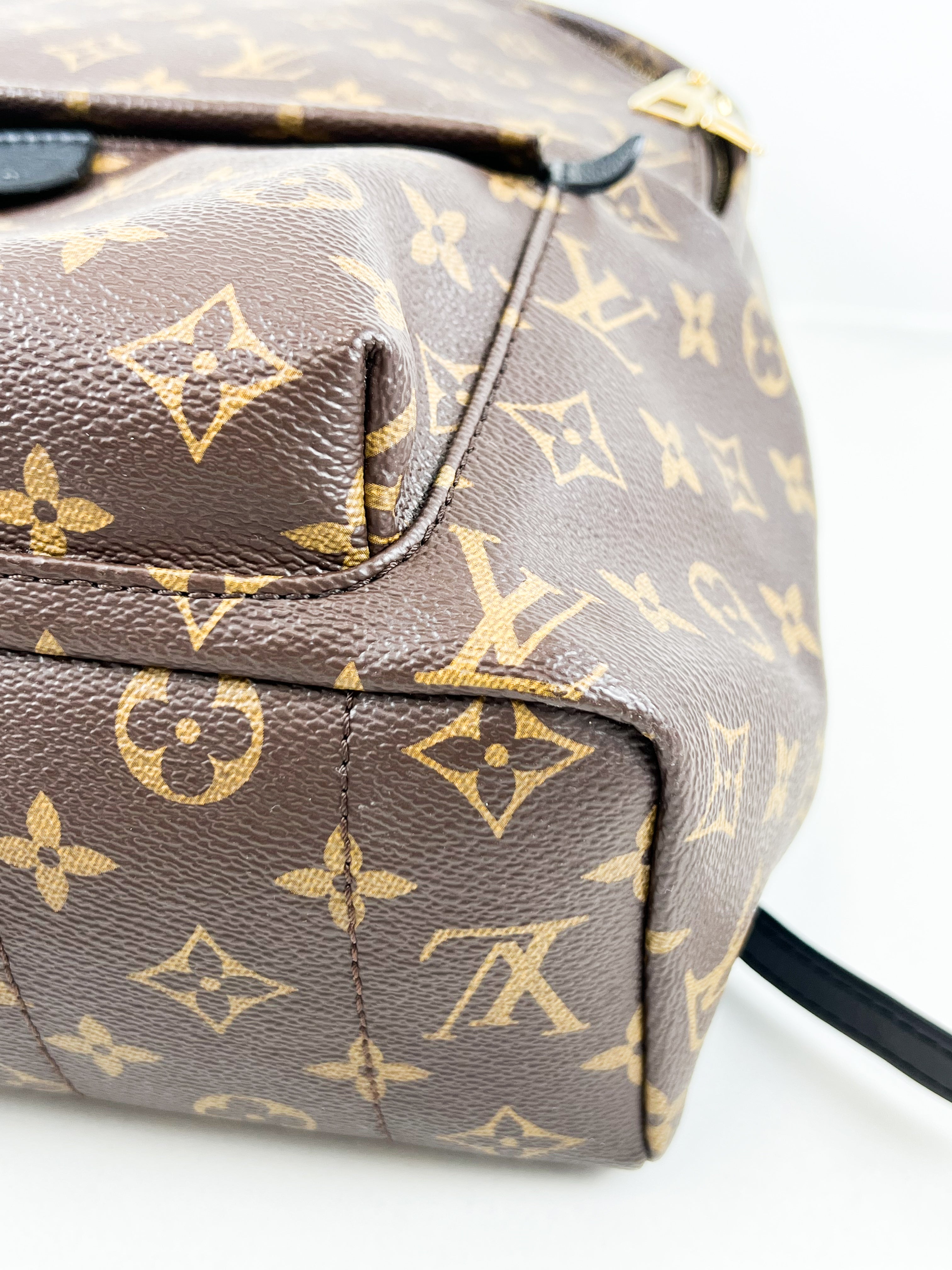 Louis Vuitton Palm Springs MM Monogram