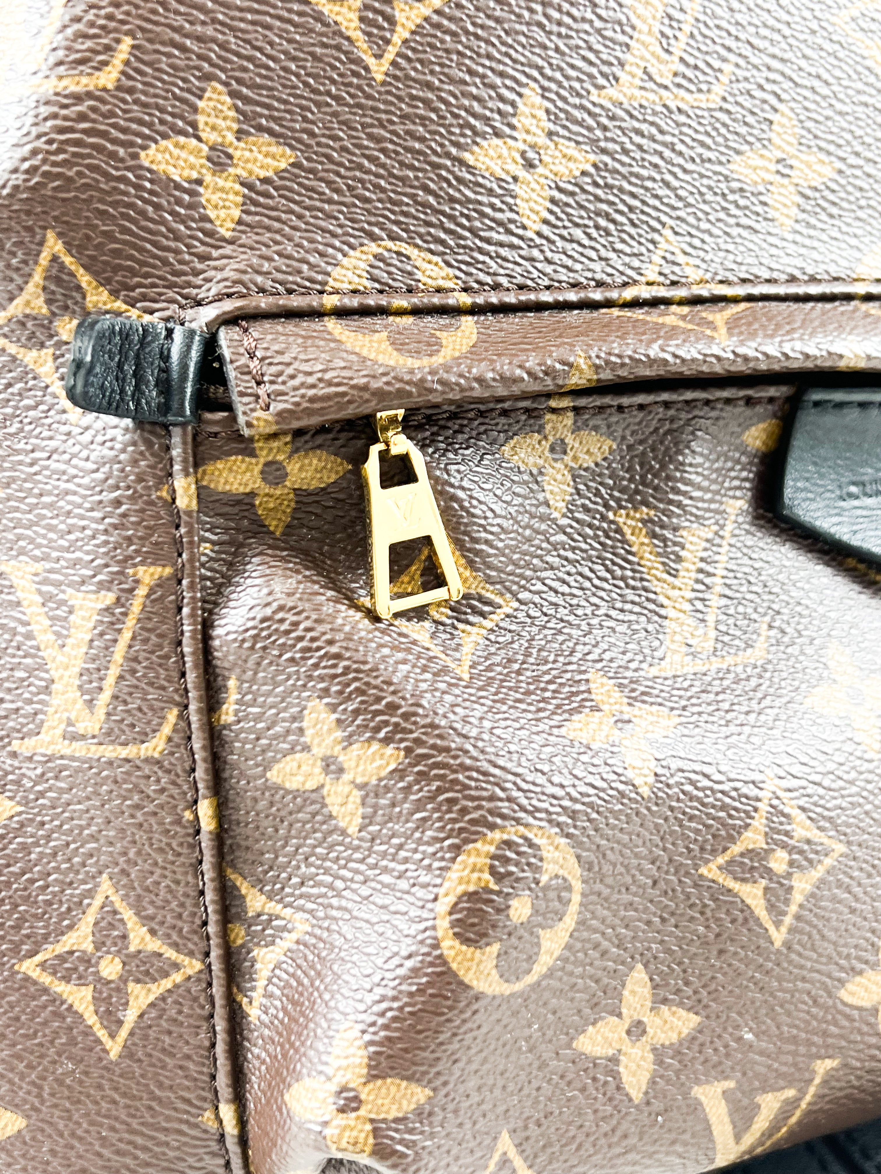Louis Vuitton Palm Springs MM Monogram