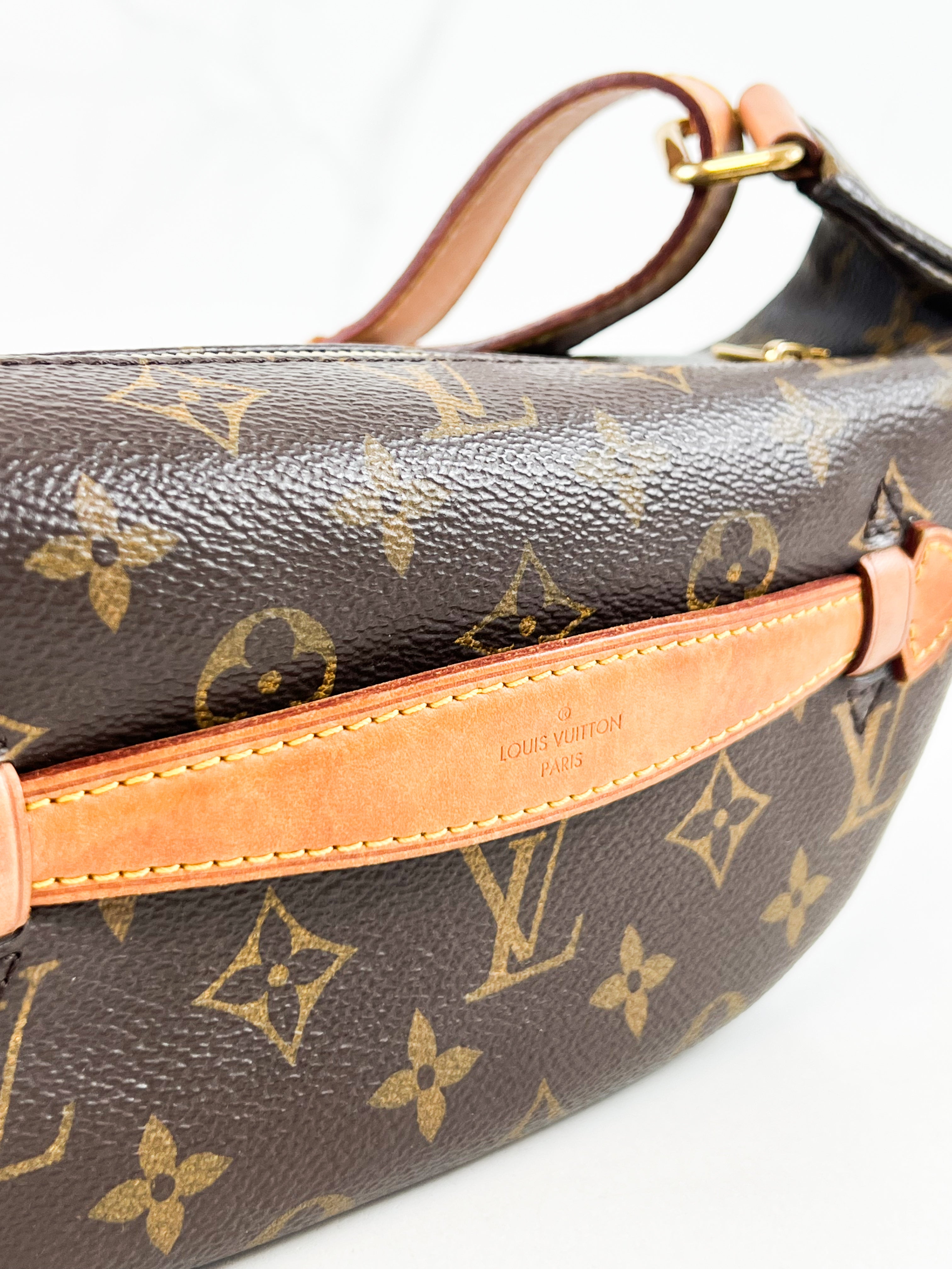 Louis Vuitton Monogram Canvas Bumbag