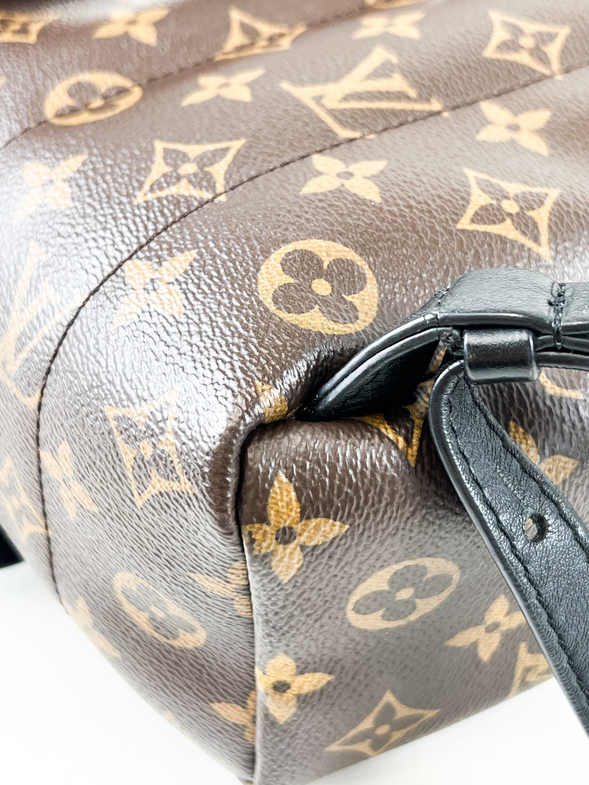 Louis Vuitton Palm Springs PM Monogram