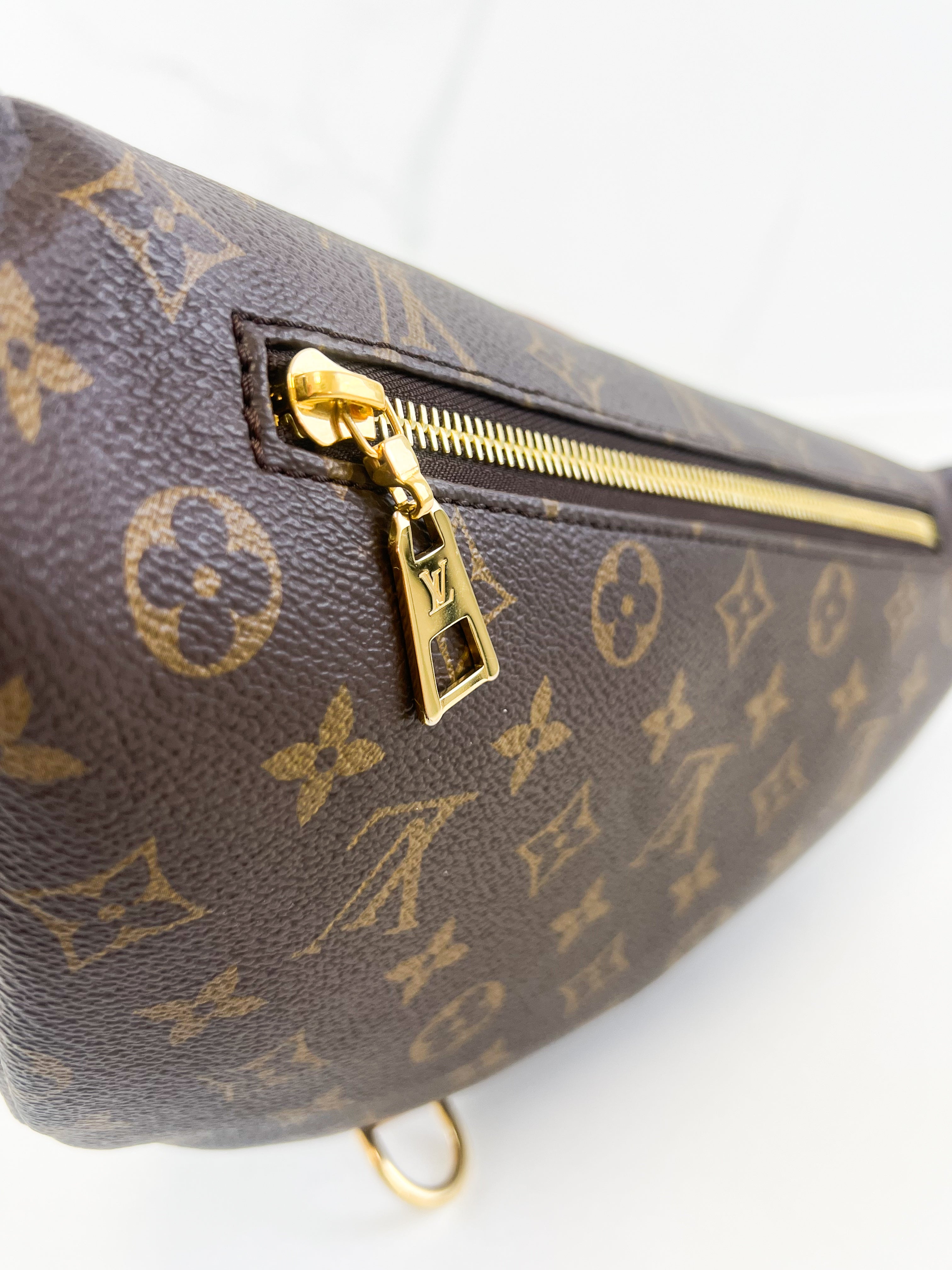 Louis Vuitton Monogram Canvas Bumbag