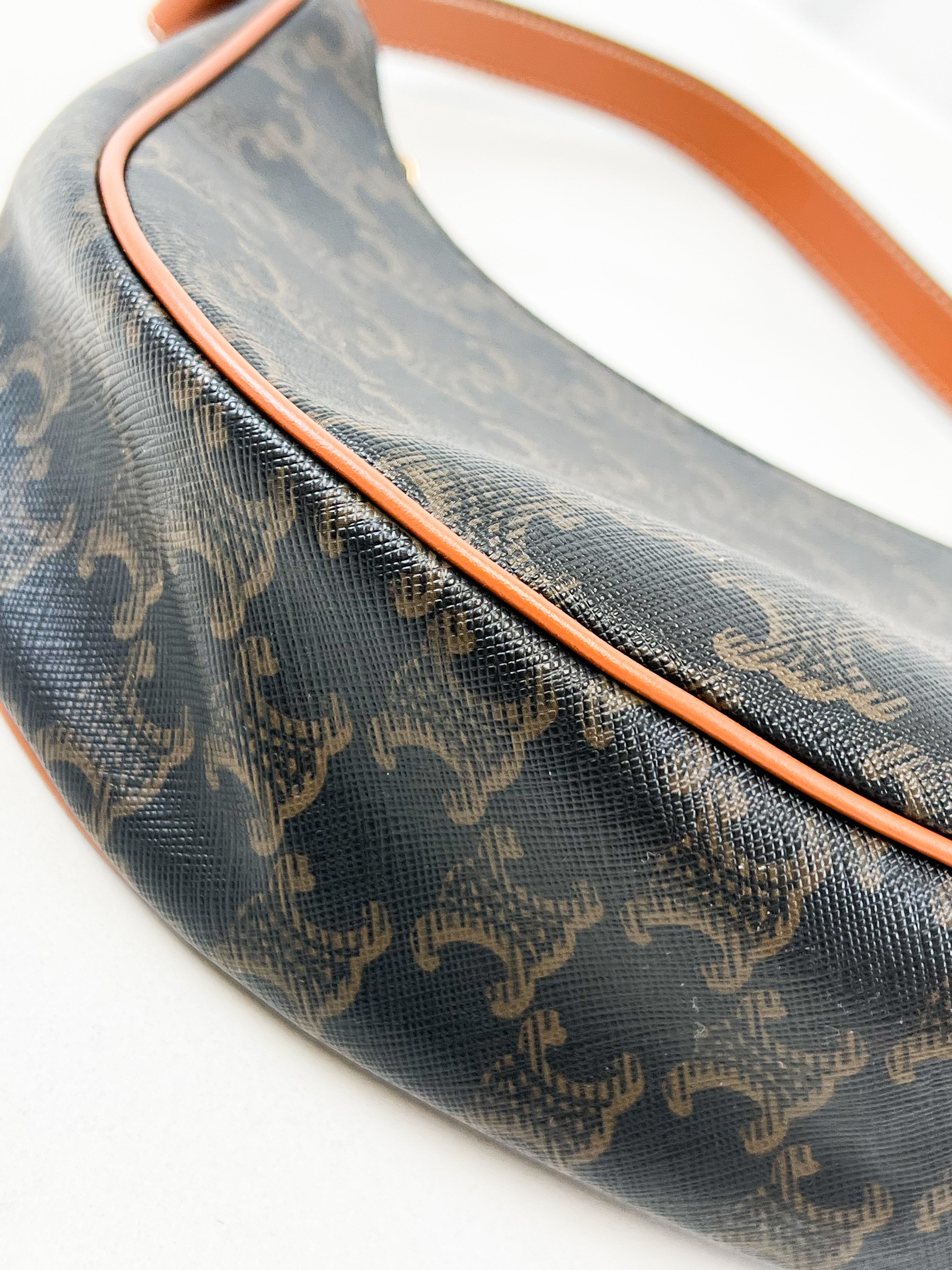 Celine Ava Bag in Triomphe Canvas & Calfskin Ta